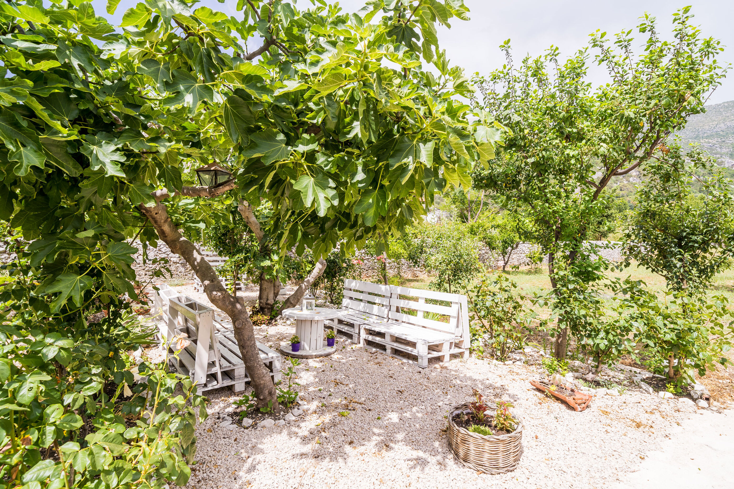 Photo of House Davor