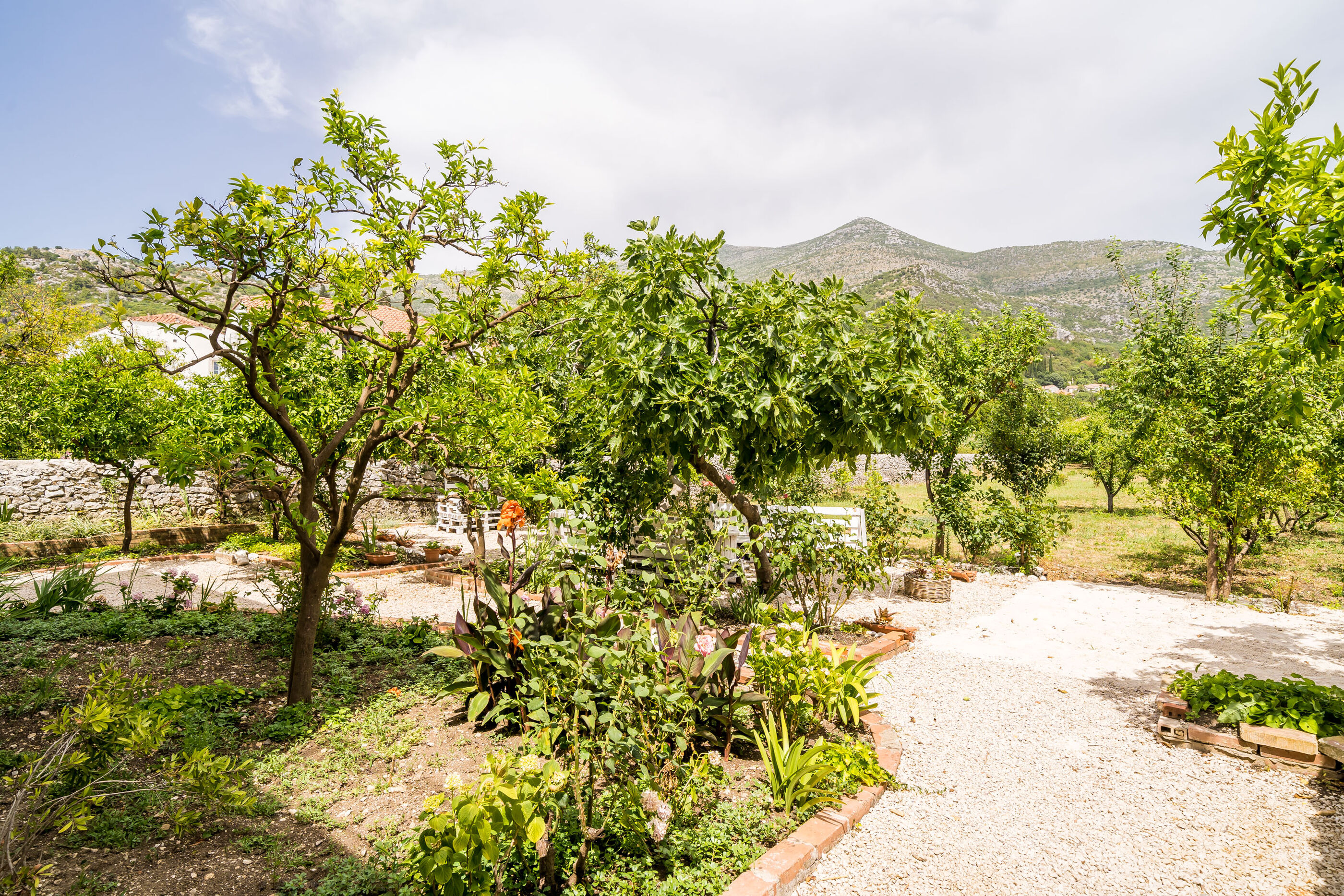 Photo of House Davor