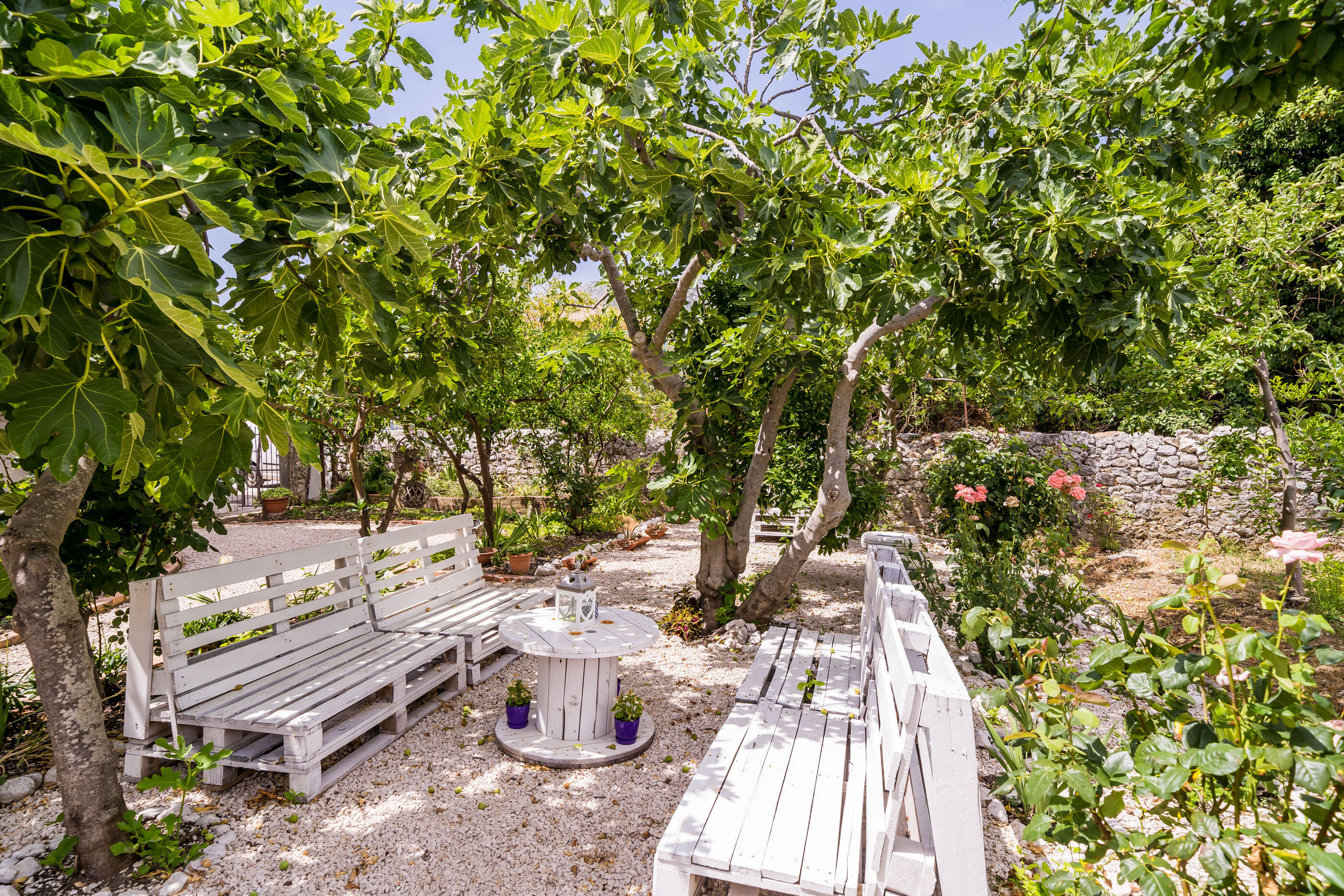 Photo of House Davor