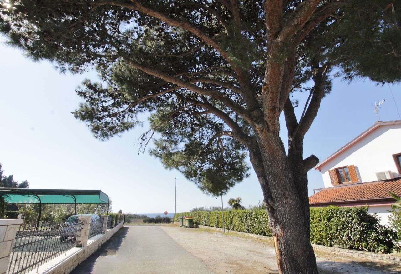Apartman Apartment Katarina with sea view 2 A1