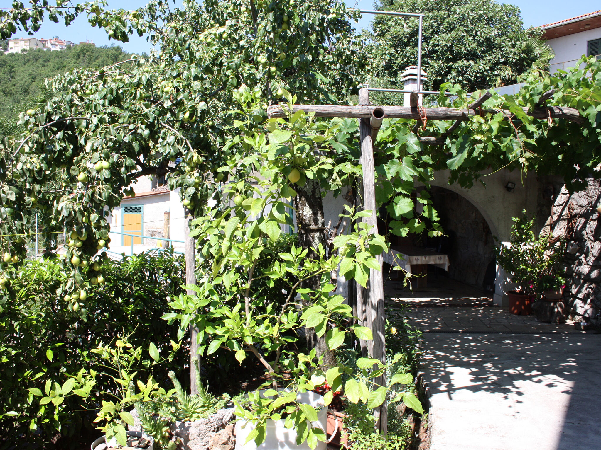 Apartments Vesna 67331-A2