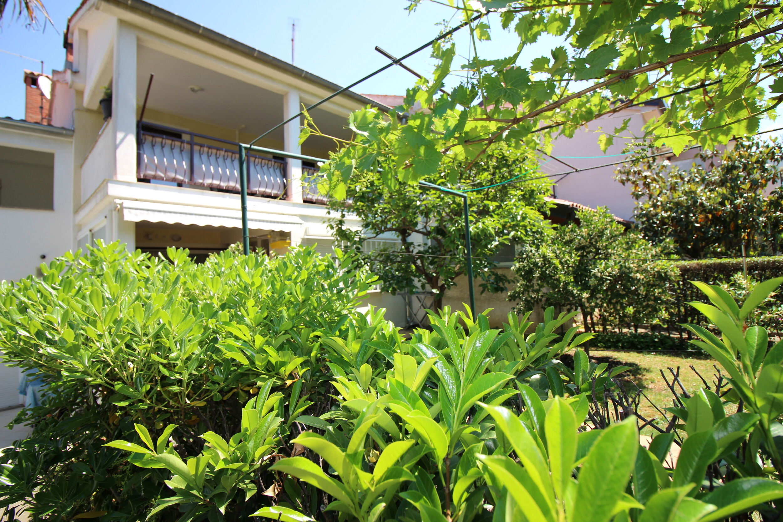 Apartments Andrea 16923-A2