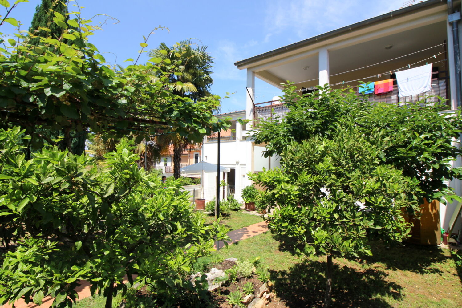 Apartments Andrea 16923-A1