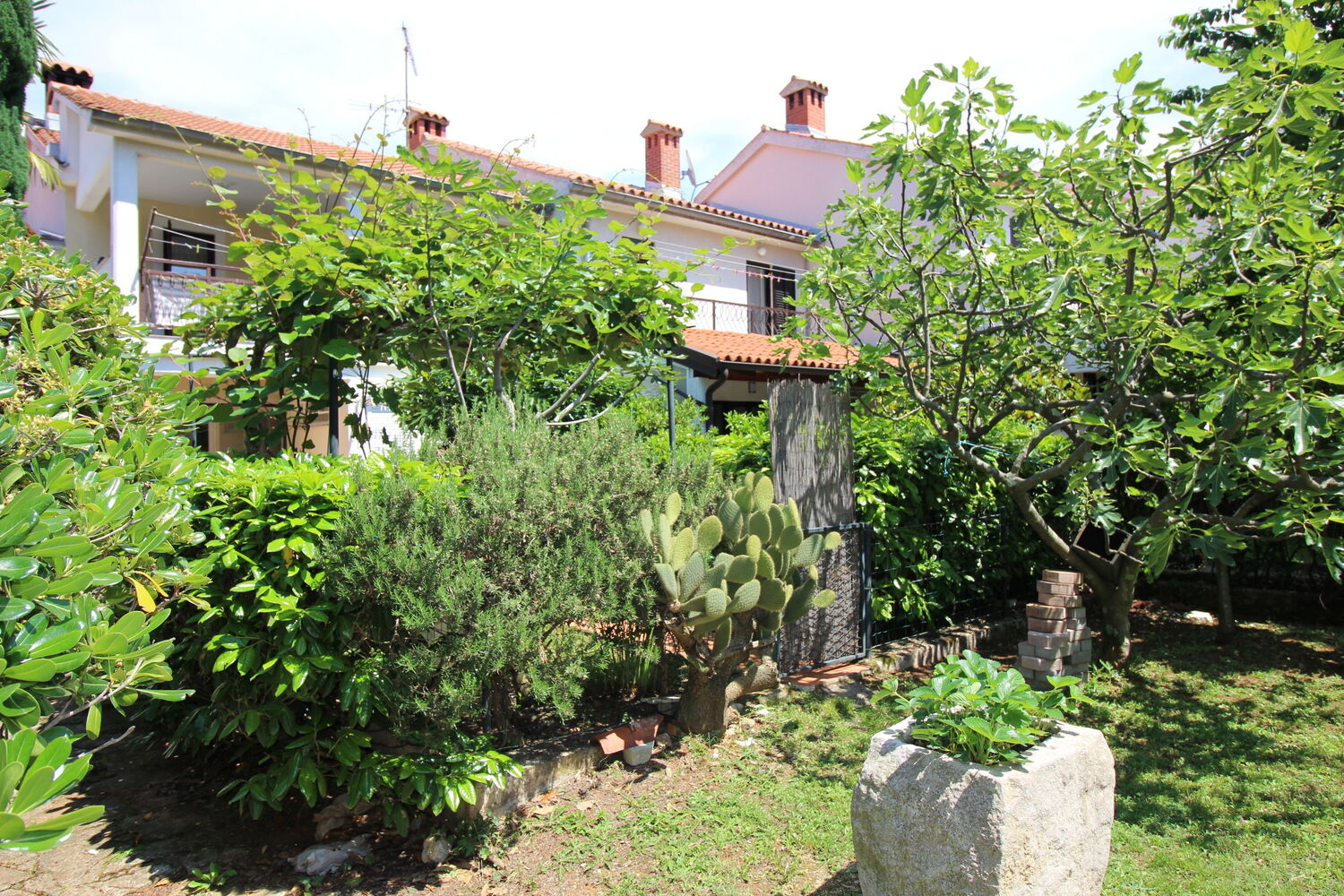 Apartments Andrea 16923-A1
