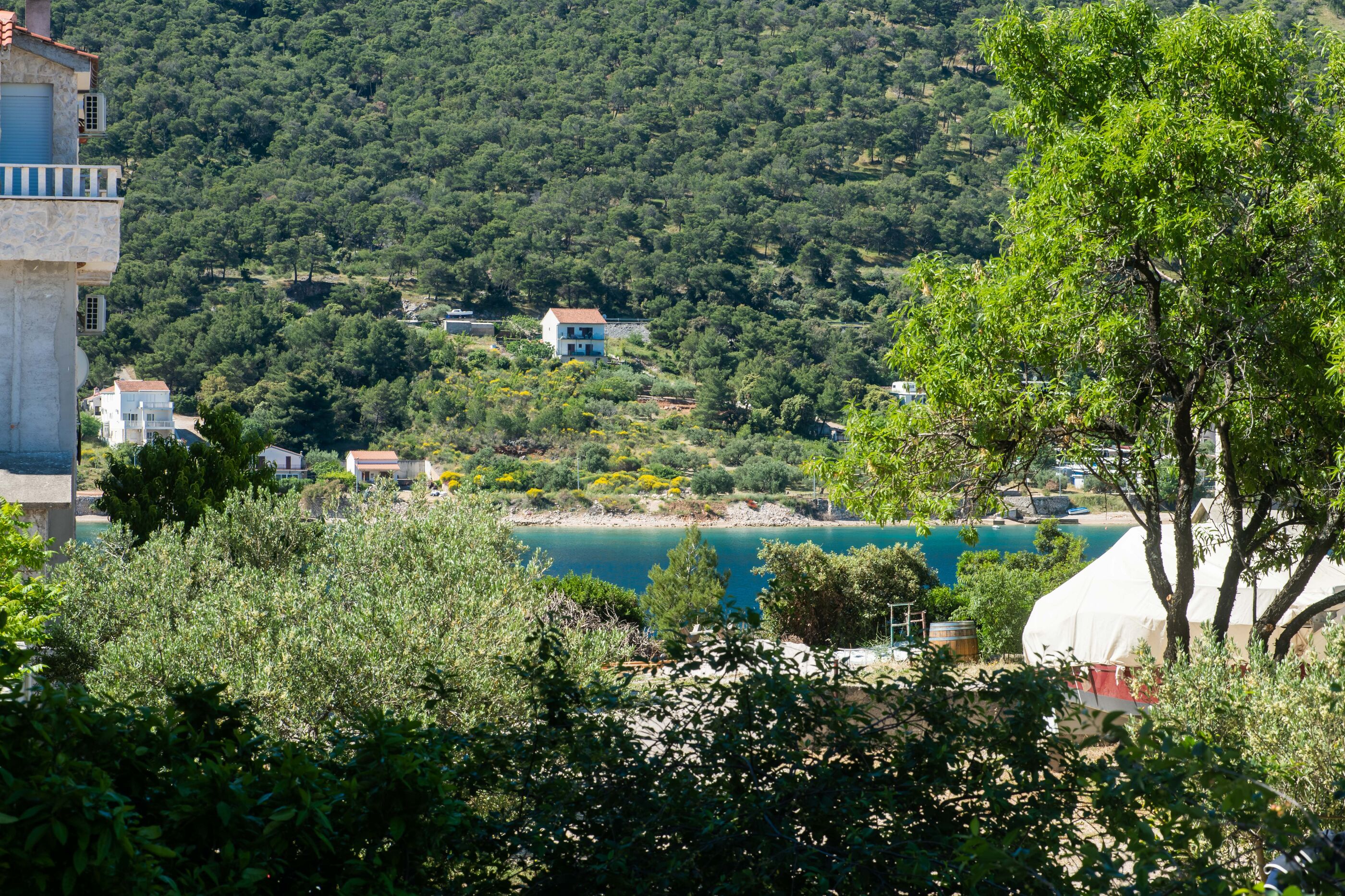 Apartments Vita Niko 85091-A2