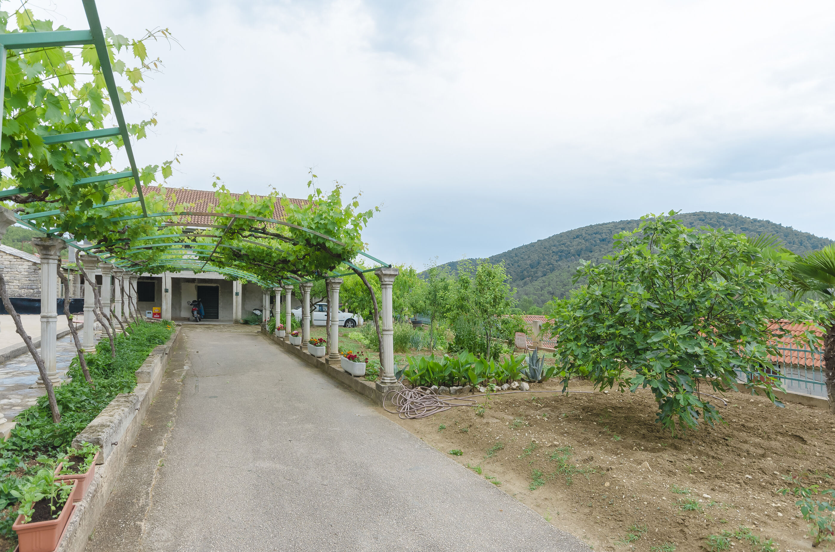 Apartment Luka 87821-A1