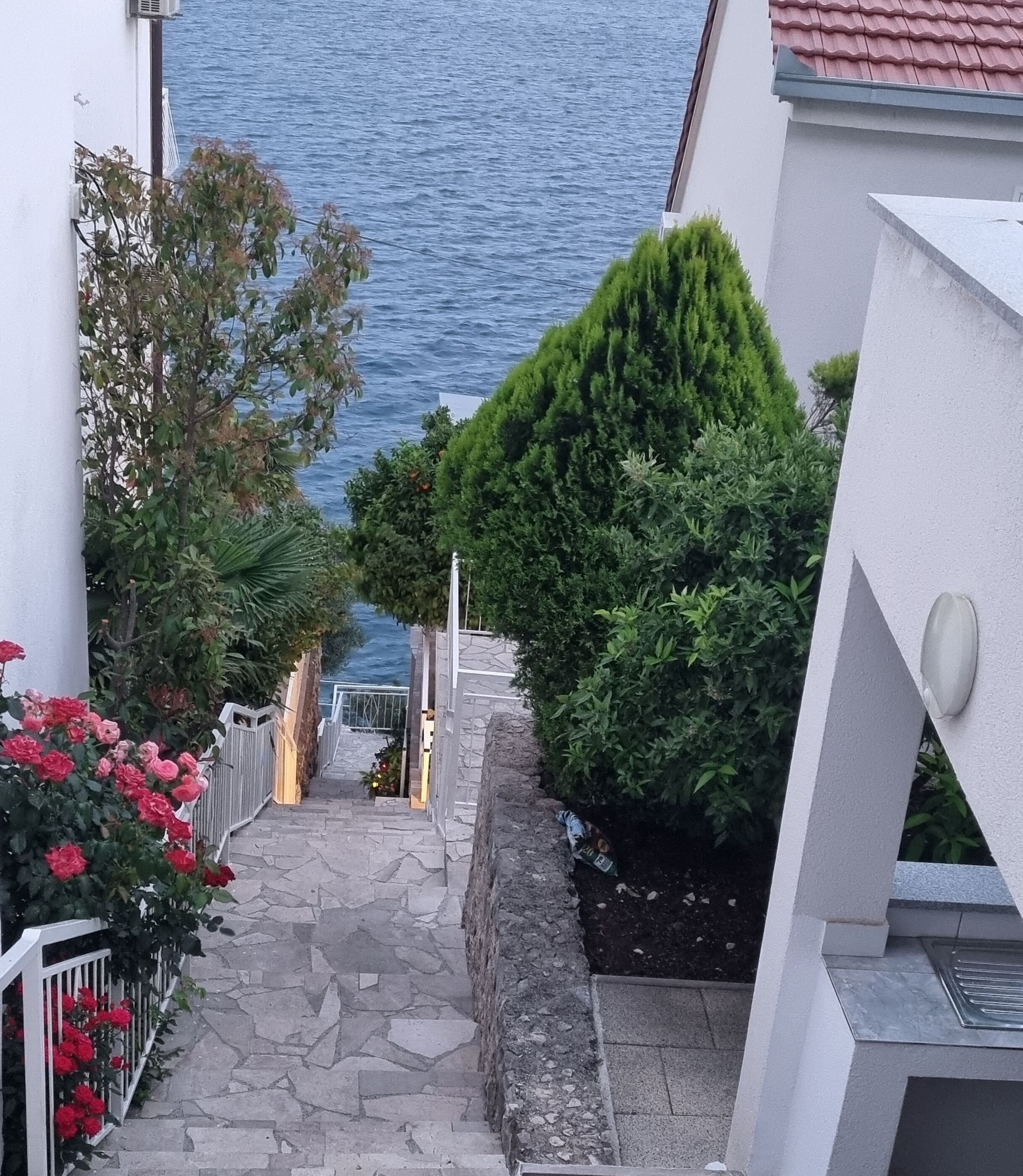 Apartments Vesna 49191-A1