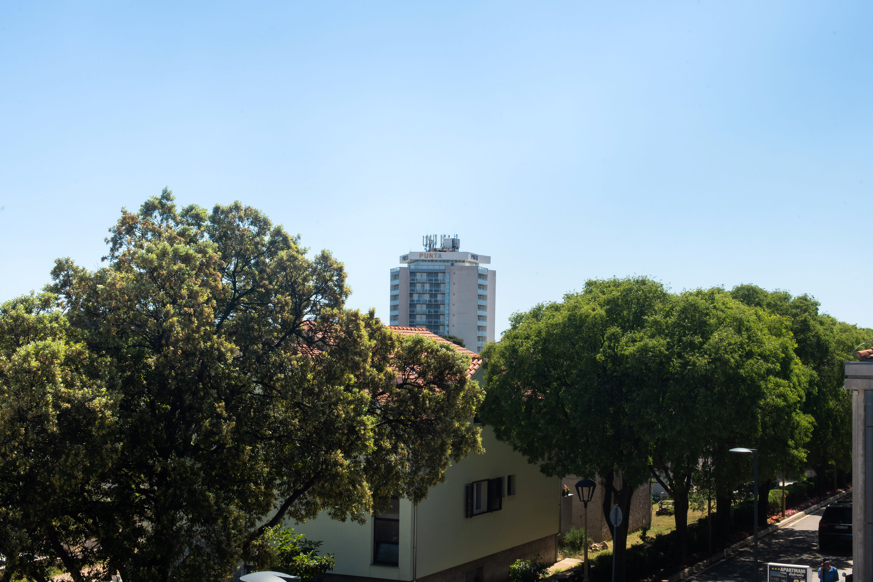 Apartment and Room Zoran 84981-A1