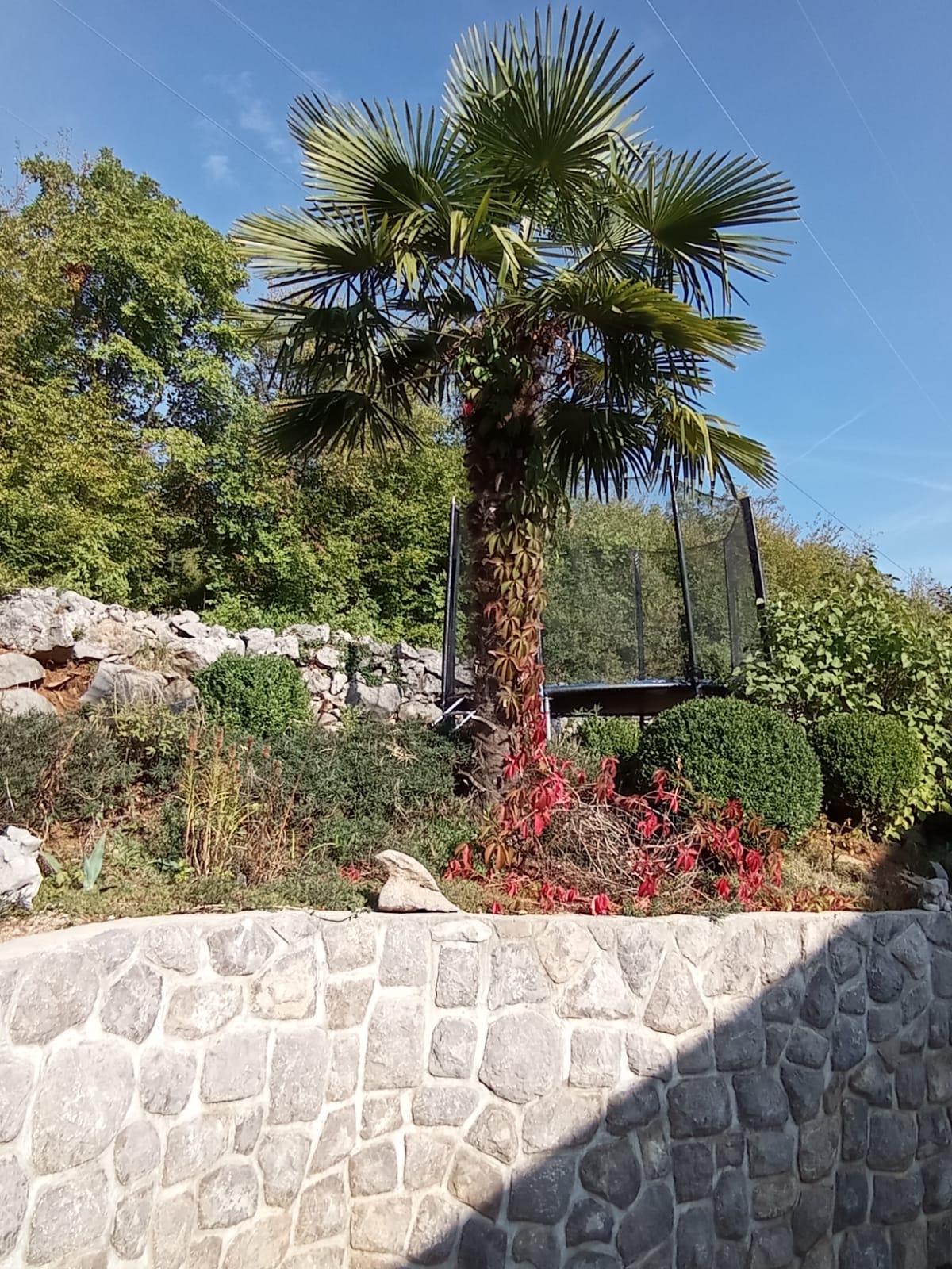 Apartment Zlatko 37912-A2