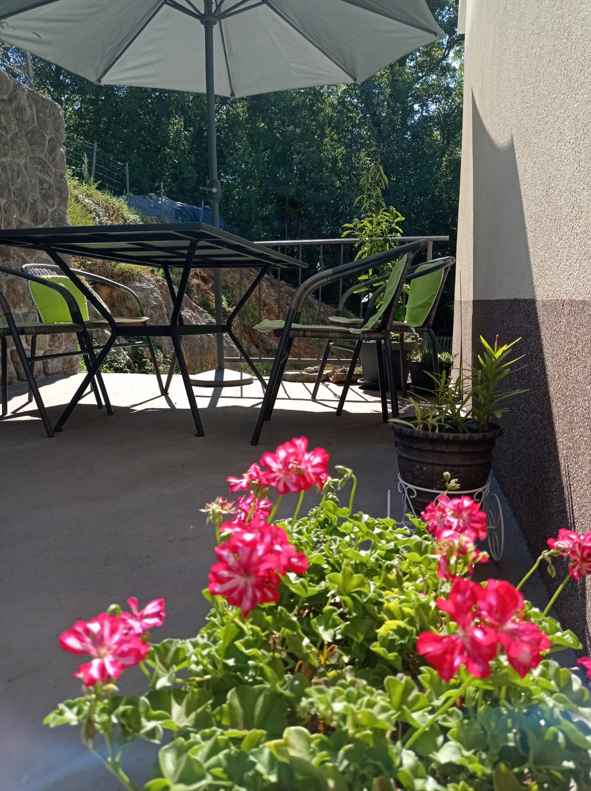 Apartment Zlatko 37912-A2