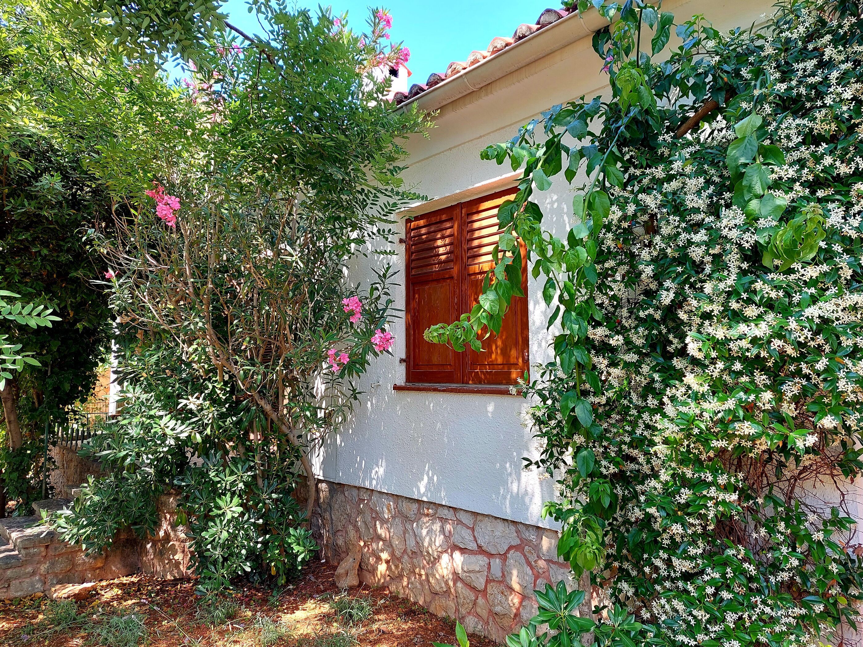 House Leticija  rustica 20885-K1