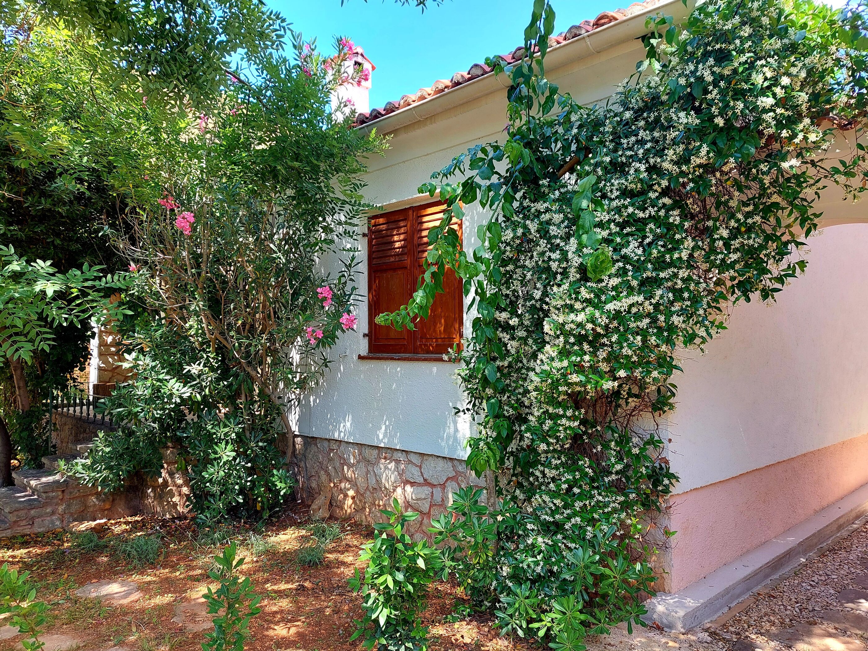 House Leticija  rustica 20885-K1