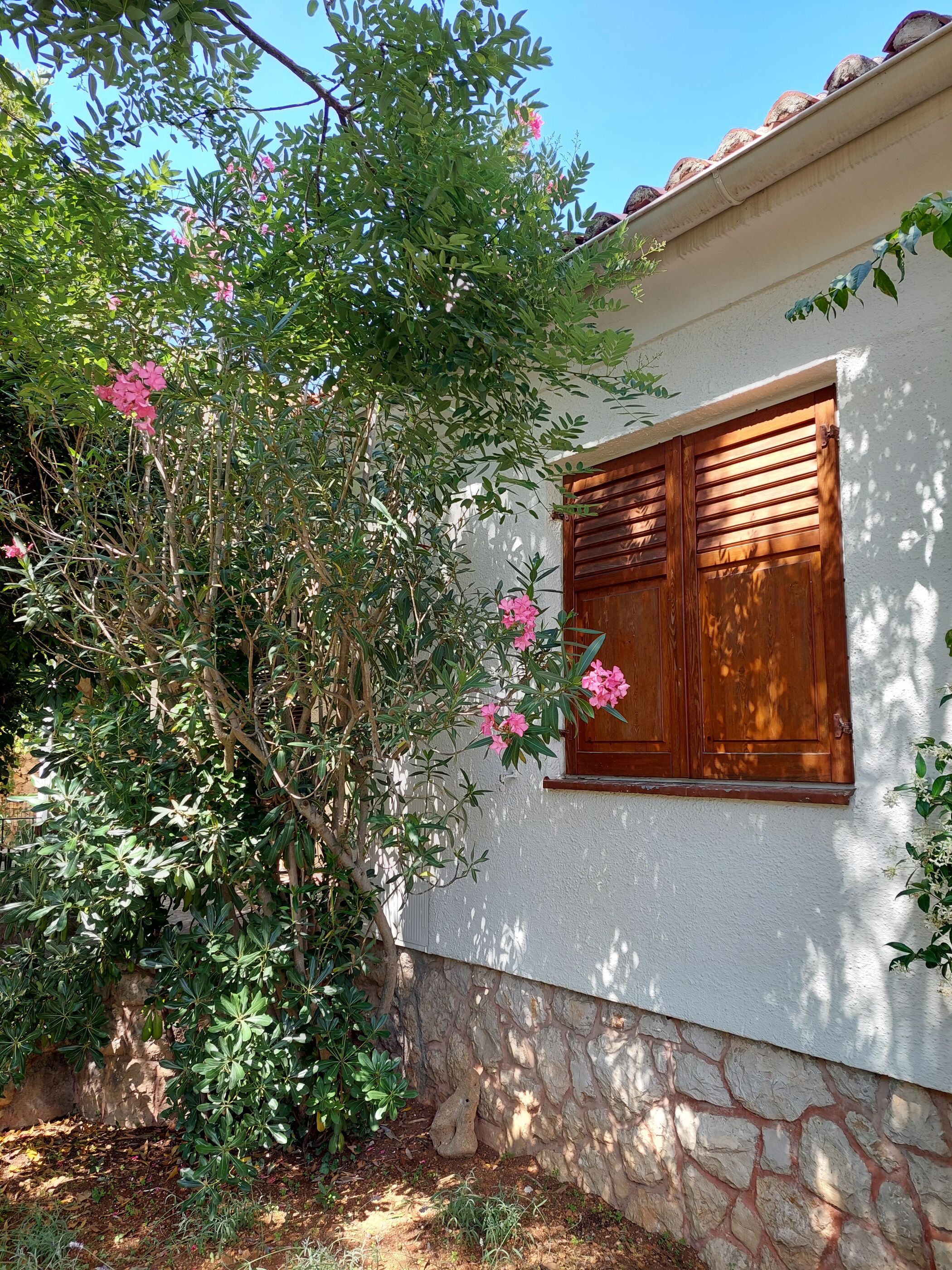 House Leticija  rustica 20885-K1