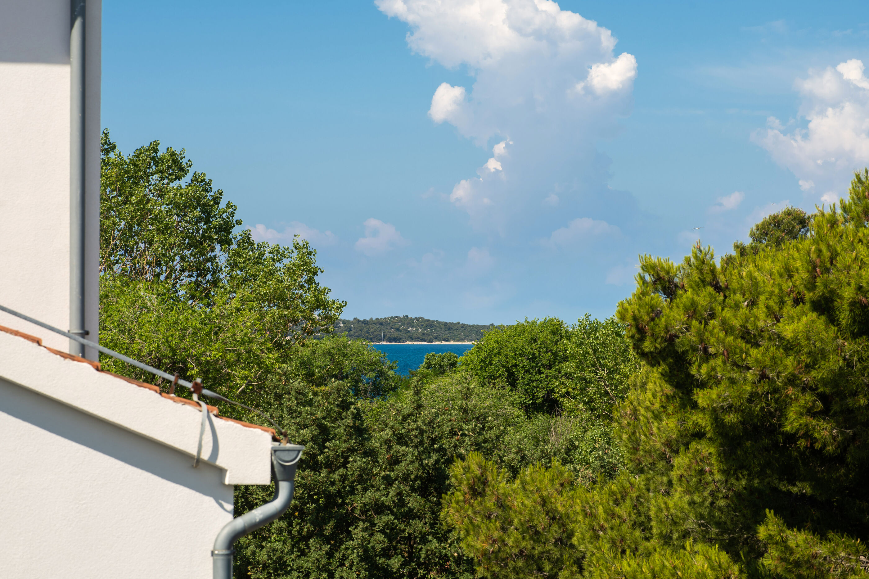 Apartment Lucija 88561-A1
