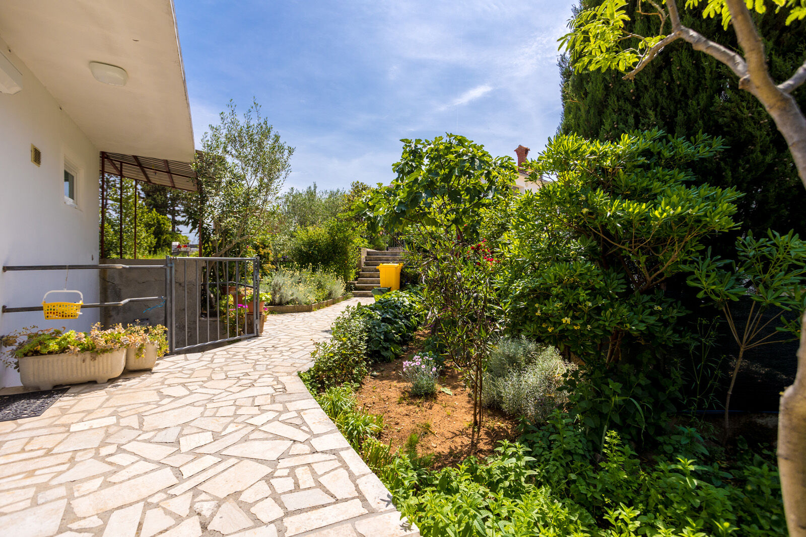 Apartment Anđelko 63766-A1