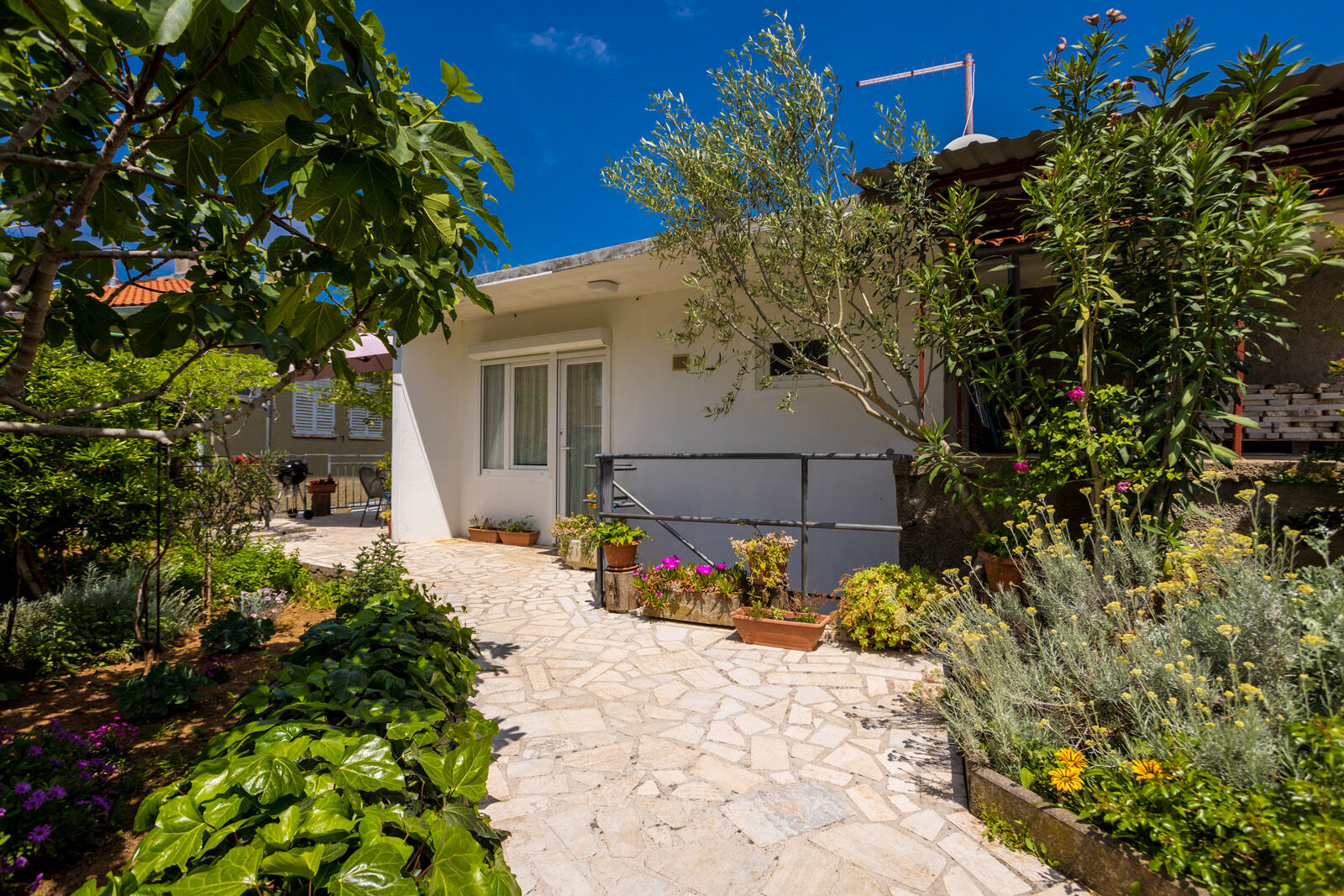 Apartment Anđelko 63766-A1