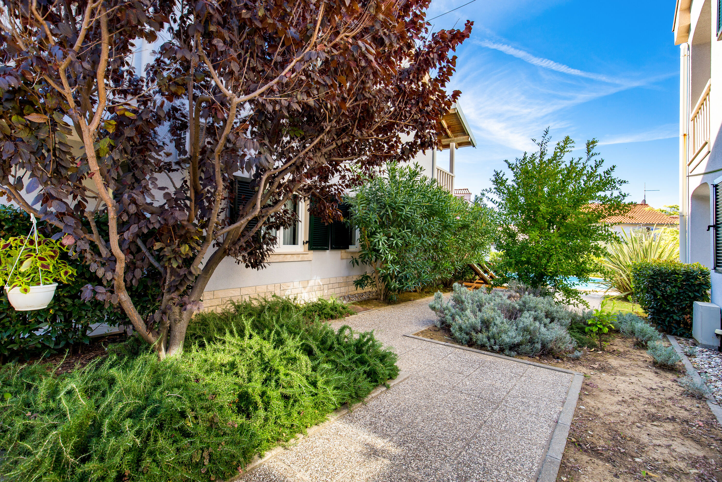 Photo of Apartments Petra