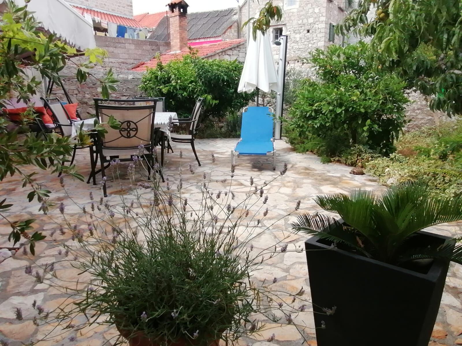 Apartment Ruža 34542-A1