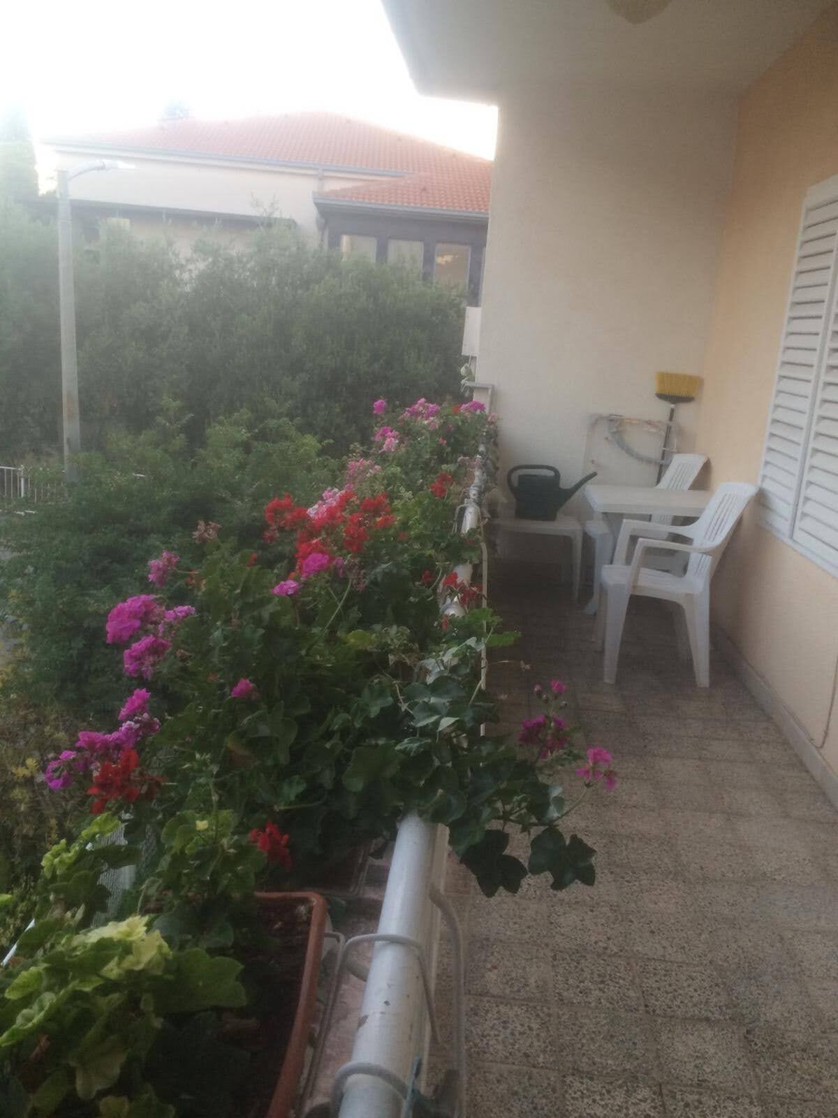 Rooms Mirjana 53882-S3