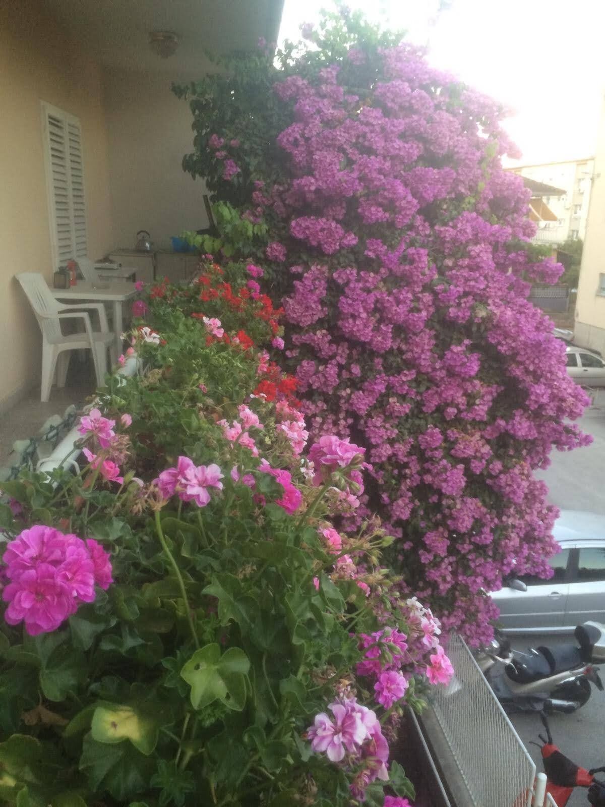Rooms Mirjana 53882-S3