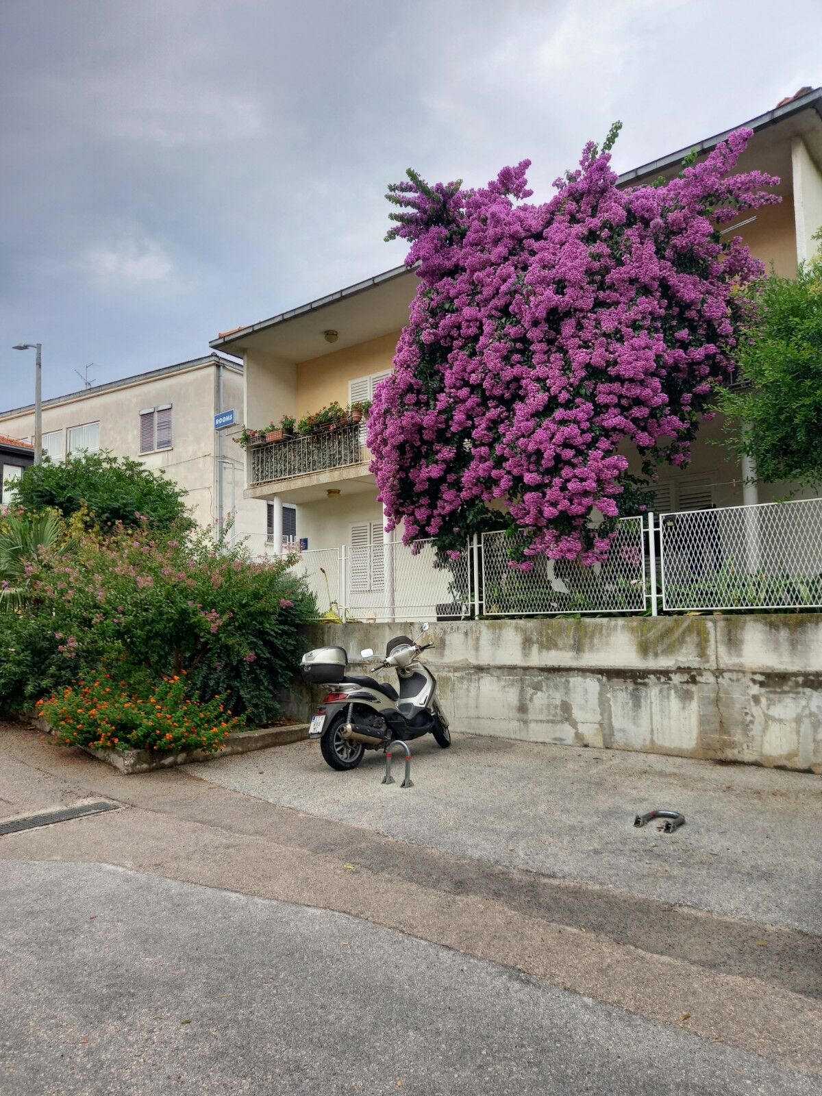 Rooms Mirjana 53882-S3