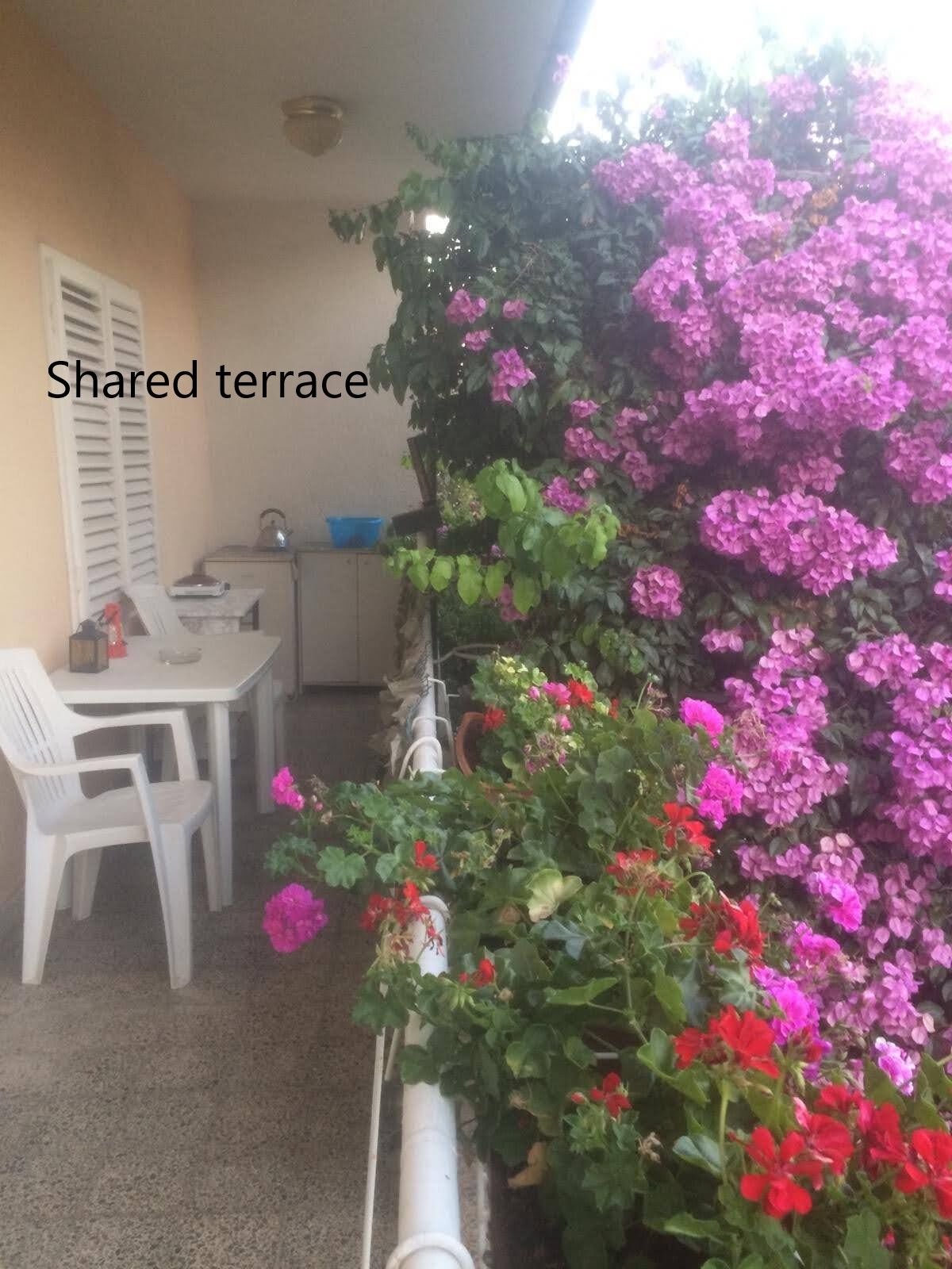 Rooms Mirjana 53882-S3