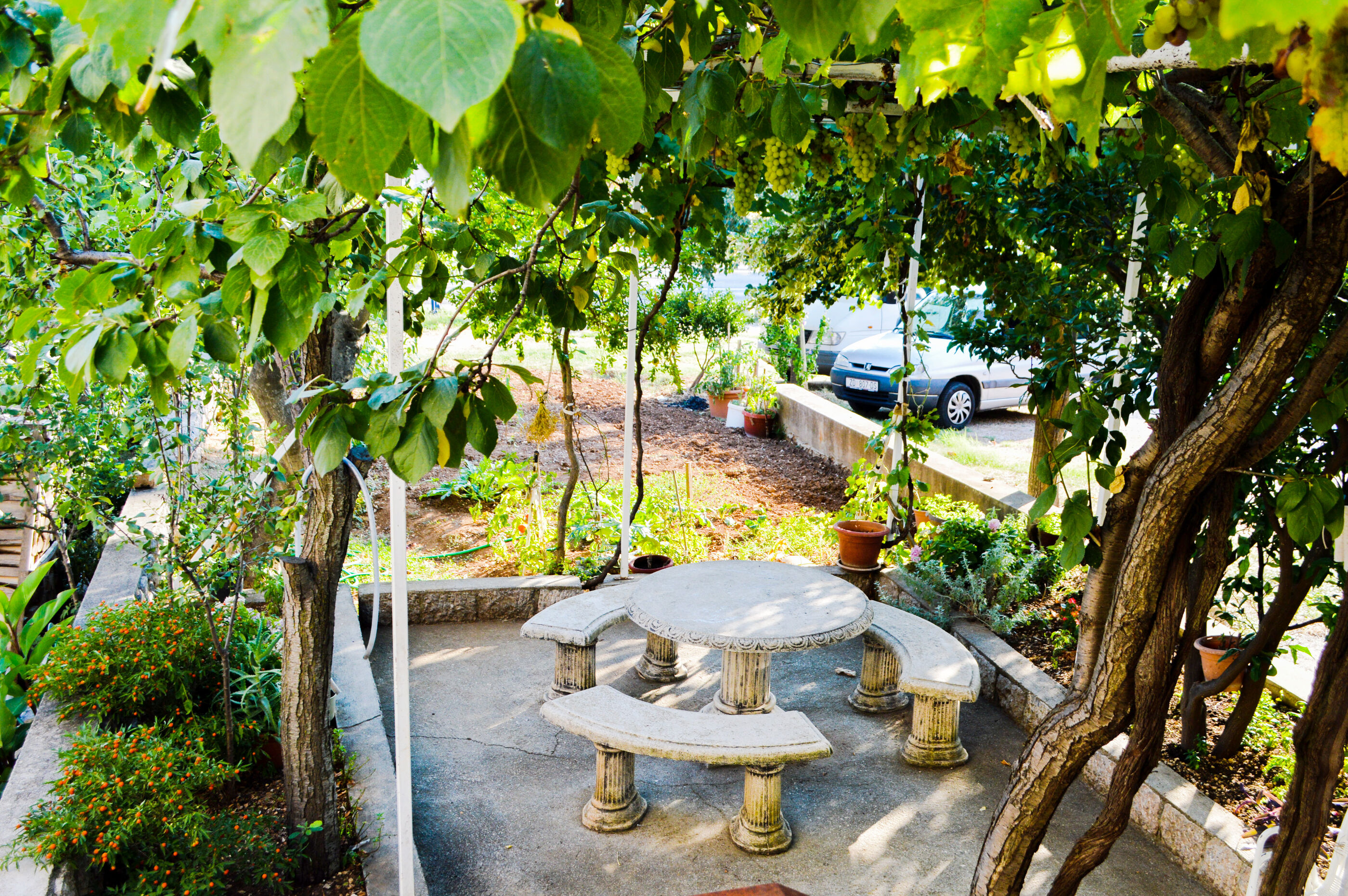 Apartment ANICA 79611-A1