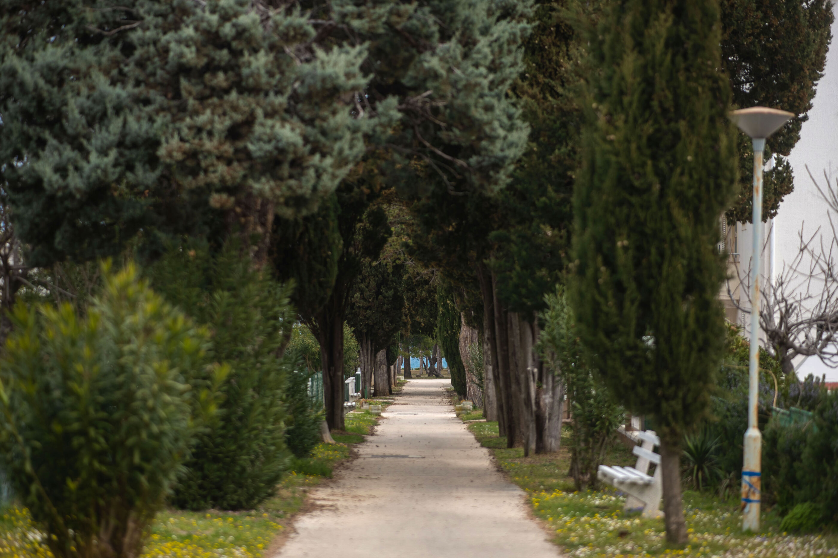 Photo of Apartment Tommy