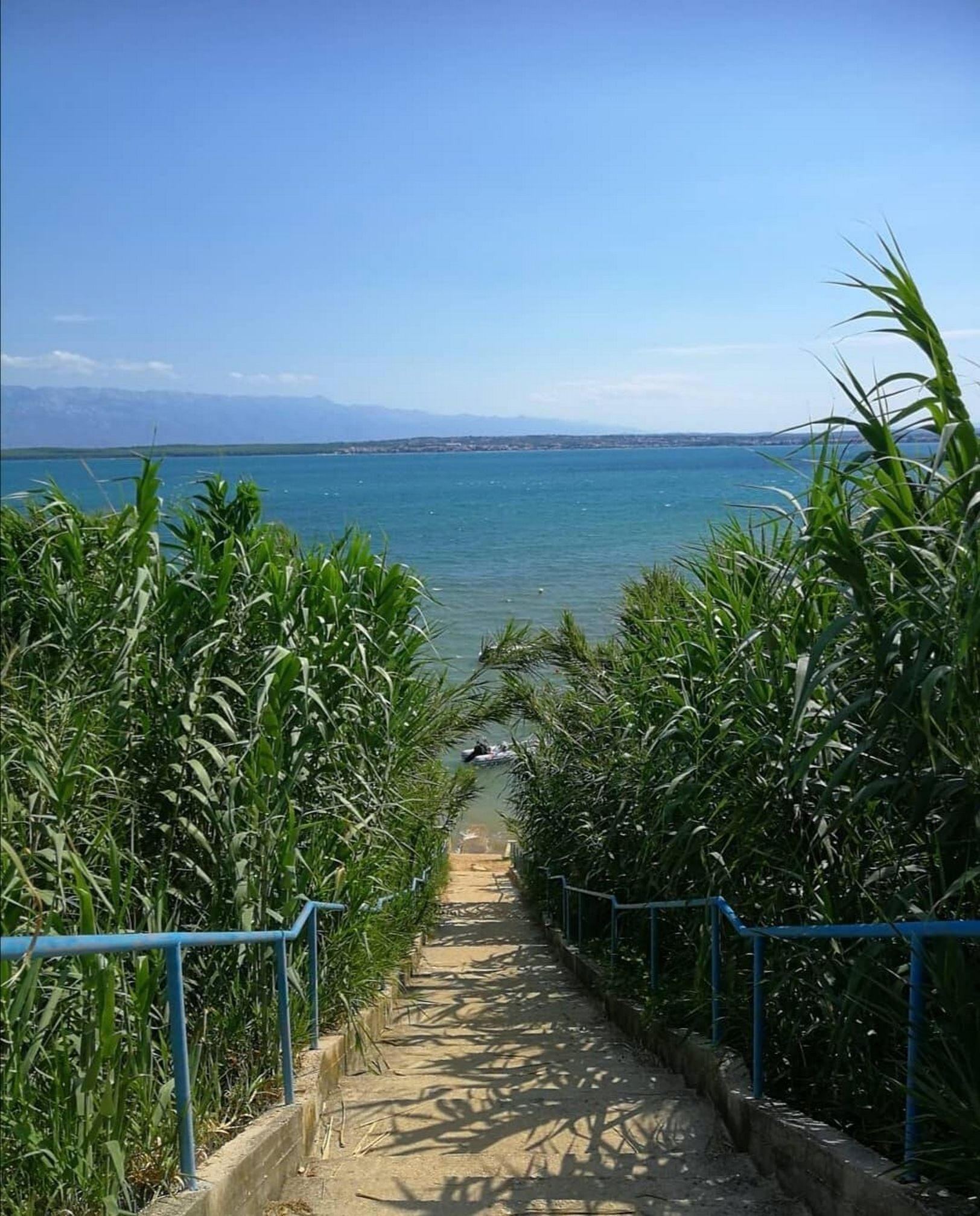 Photo of Apartment Tommy