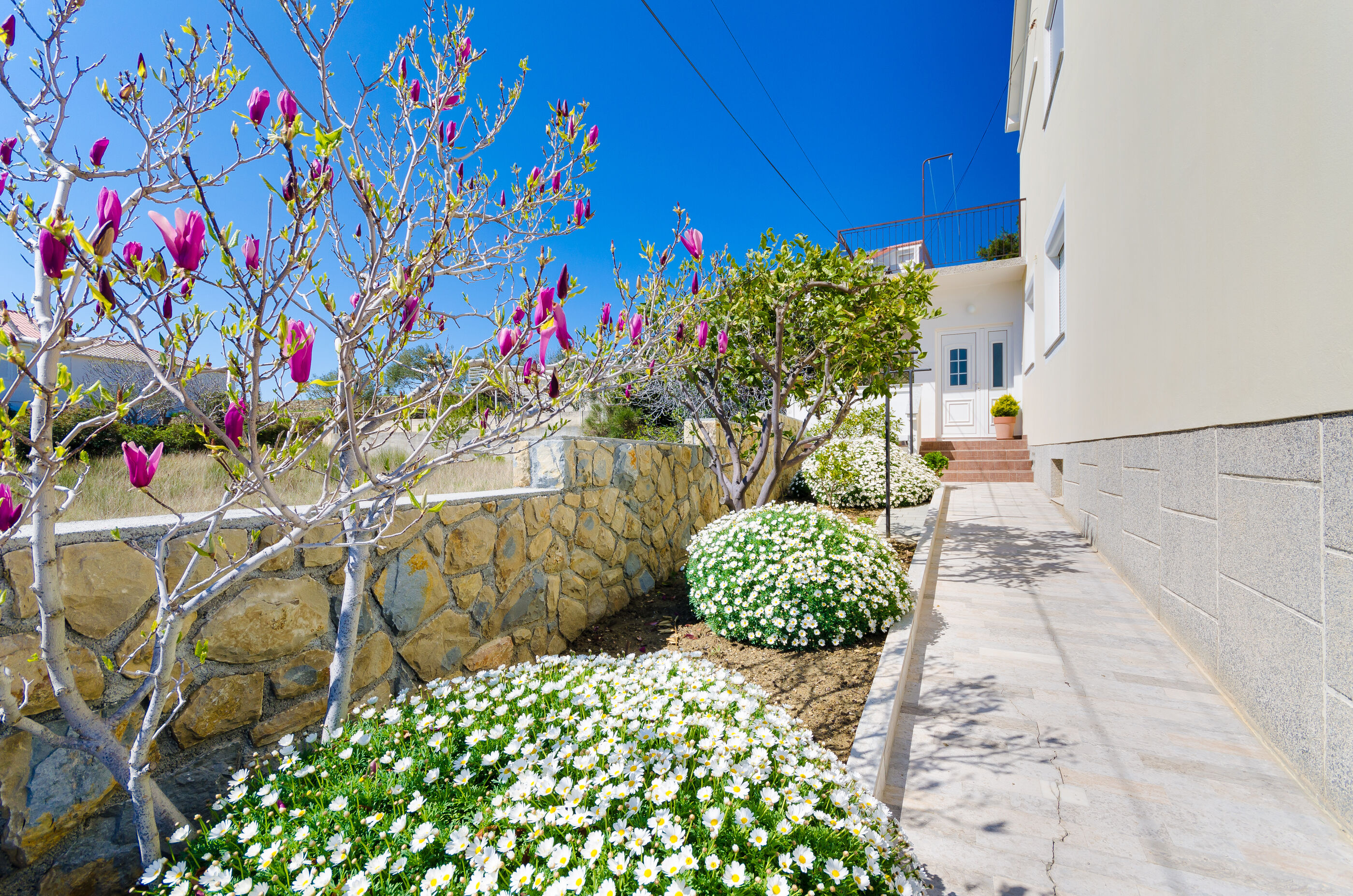 Apartment BRANKA 19511-A1
