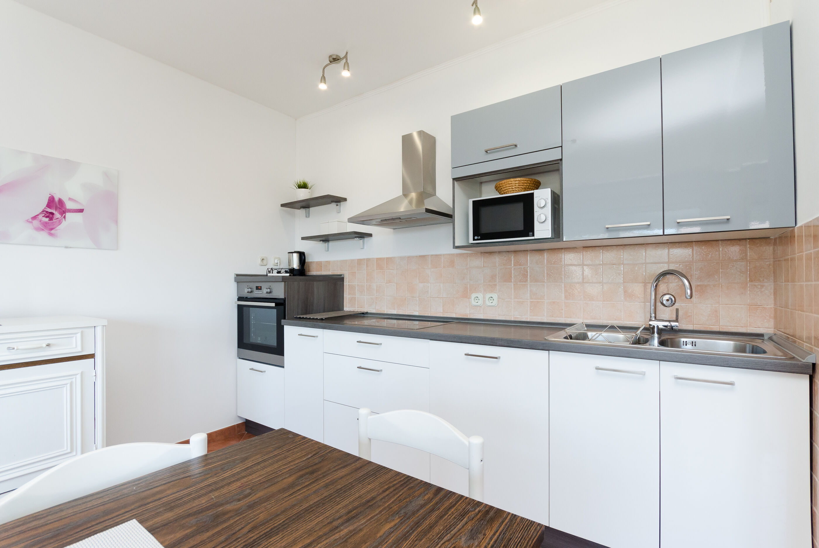 Apartment BRANKA 19511-A1