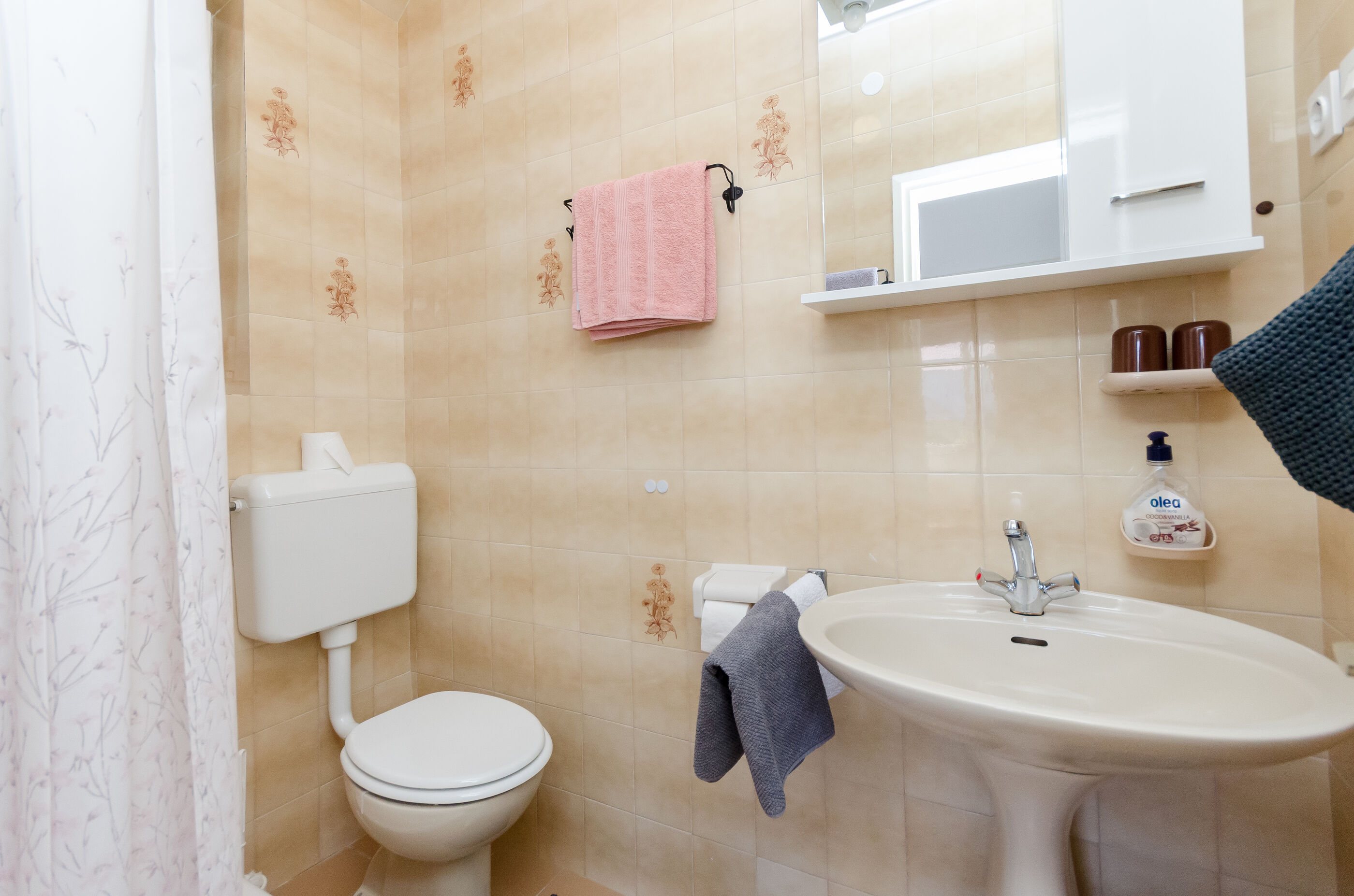 Apartment BRANKA 19511-A1