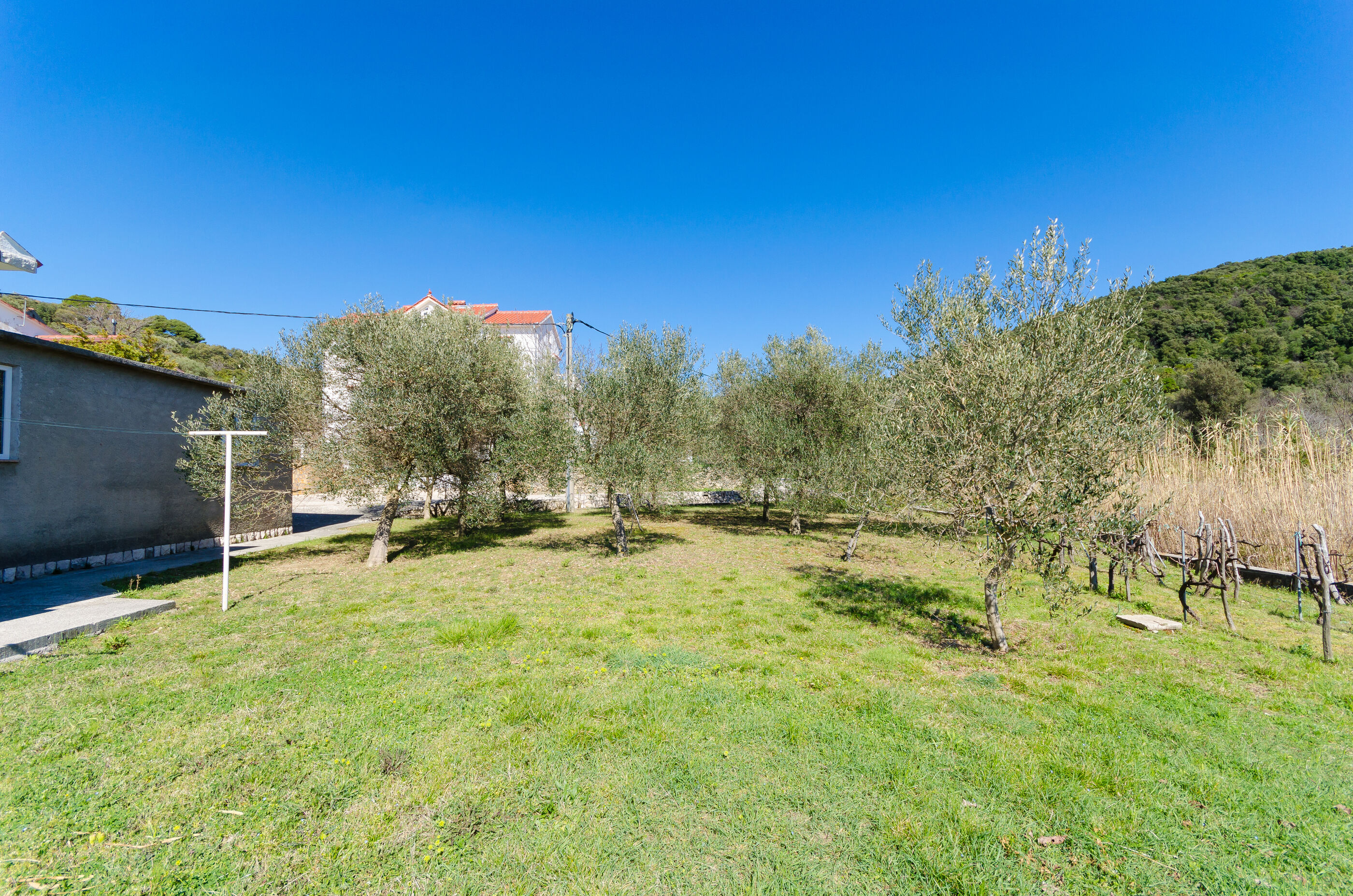 Apartments VESNA 39001-A2