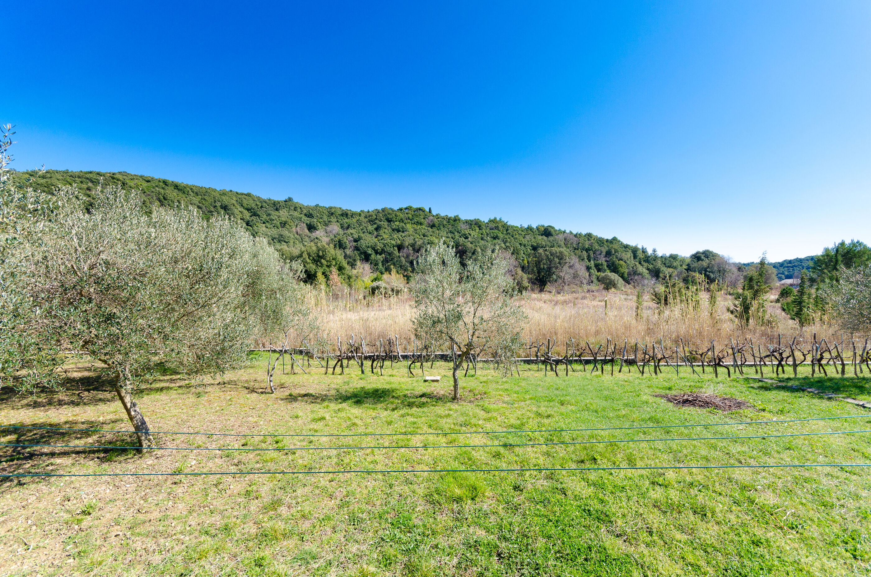 Apartments VESNA 39001-A1