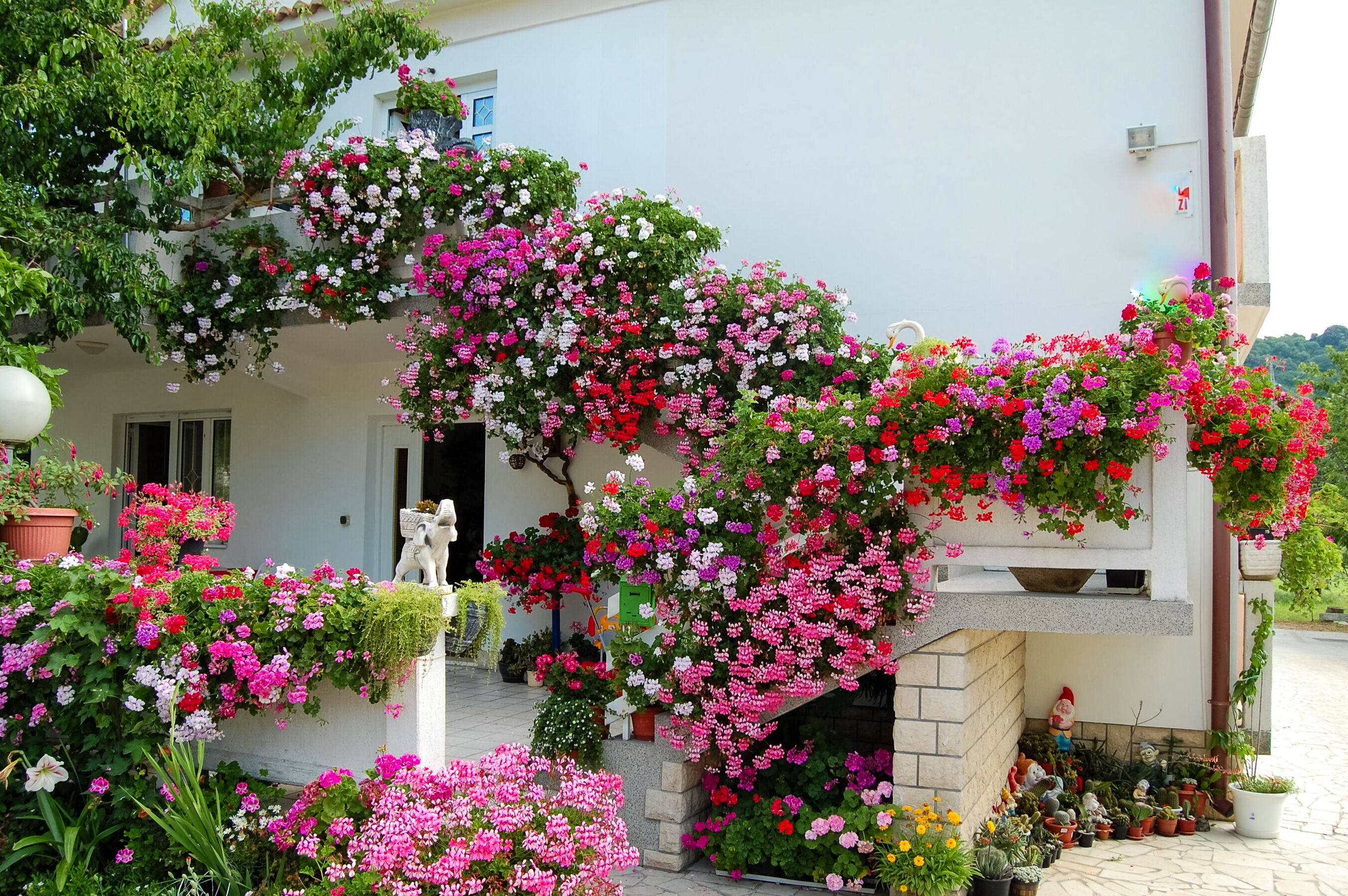 Photo of Apartments Rezika