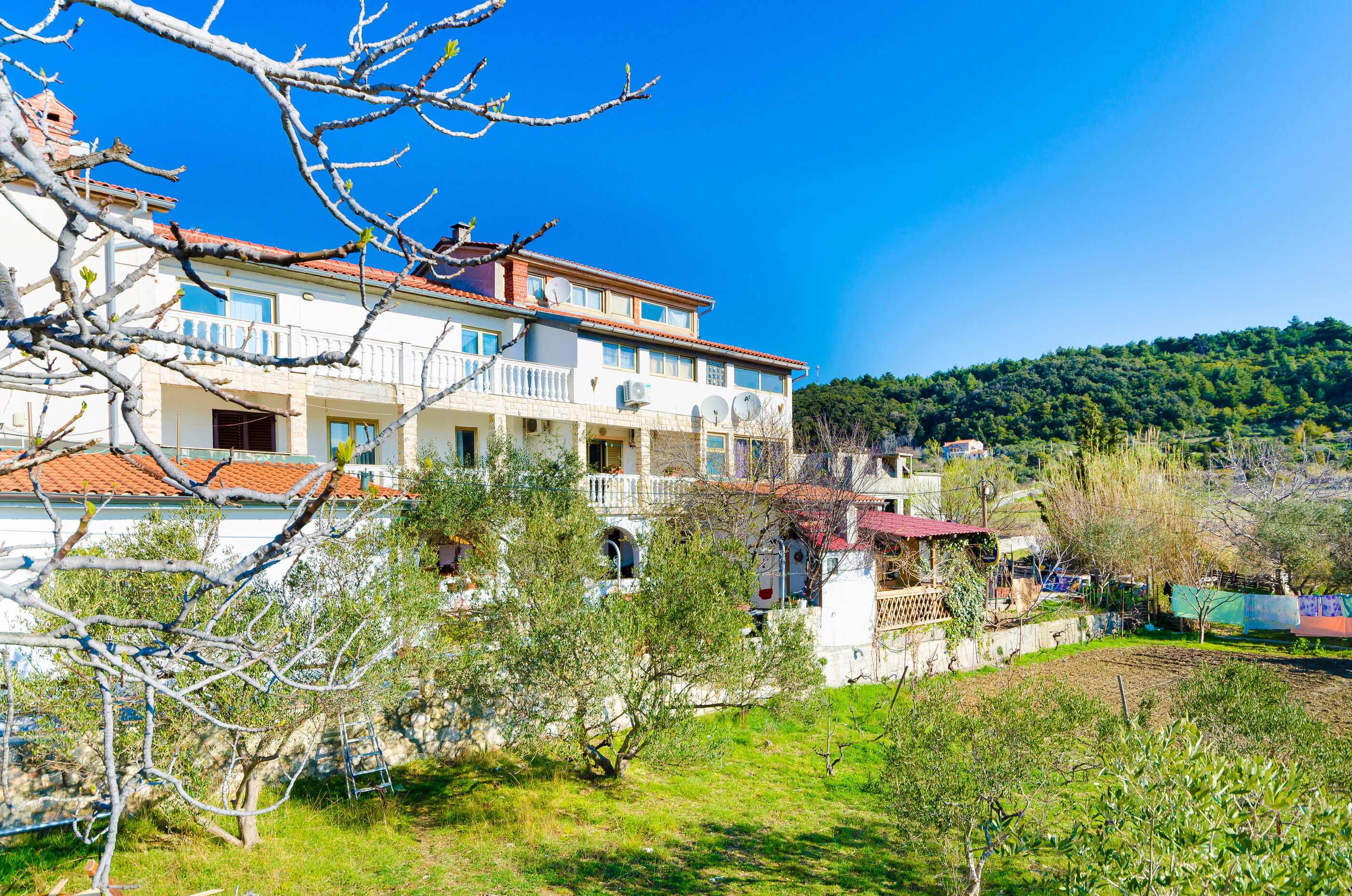 Photo of Apartments Željka