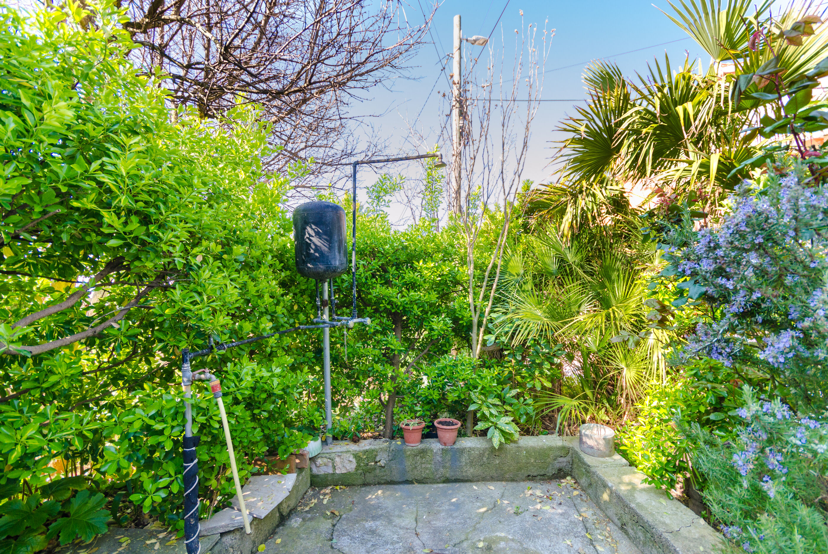 Apartment Marica Sanja 68591-A1