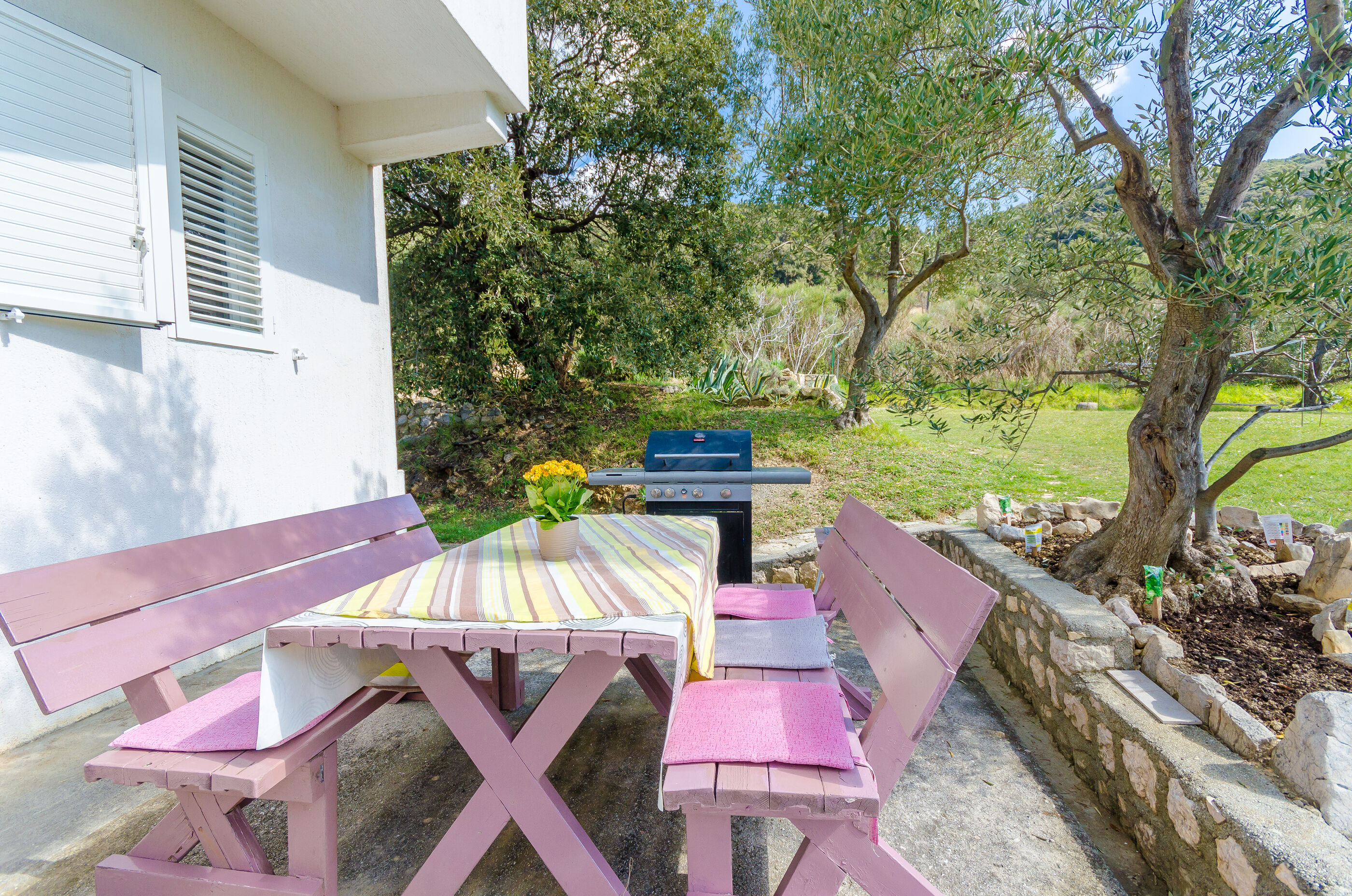 Photo of Apartments Zorka