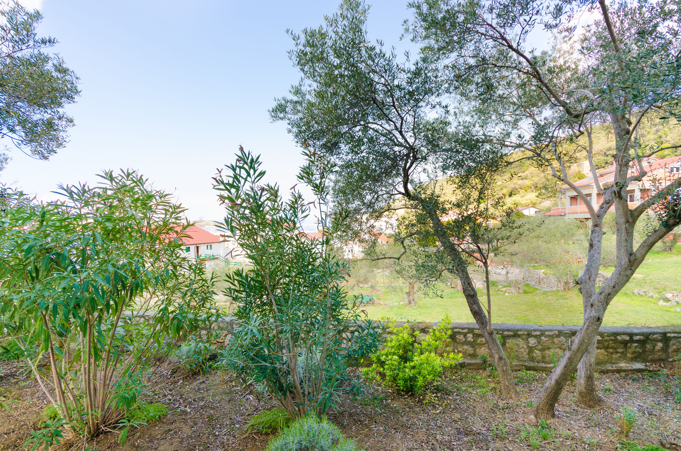 Apartments Zorka 81561-A2