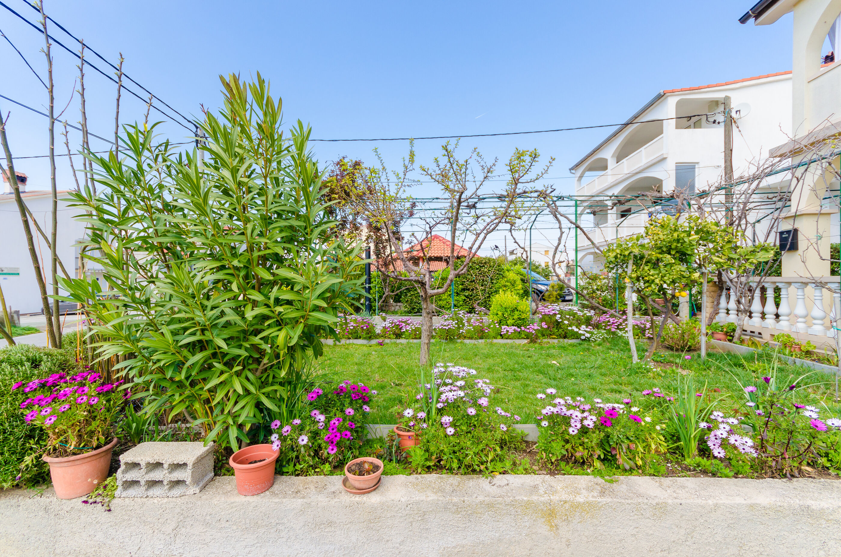 Apartments Mijatović 83641-A3