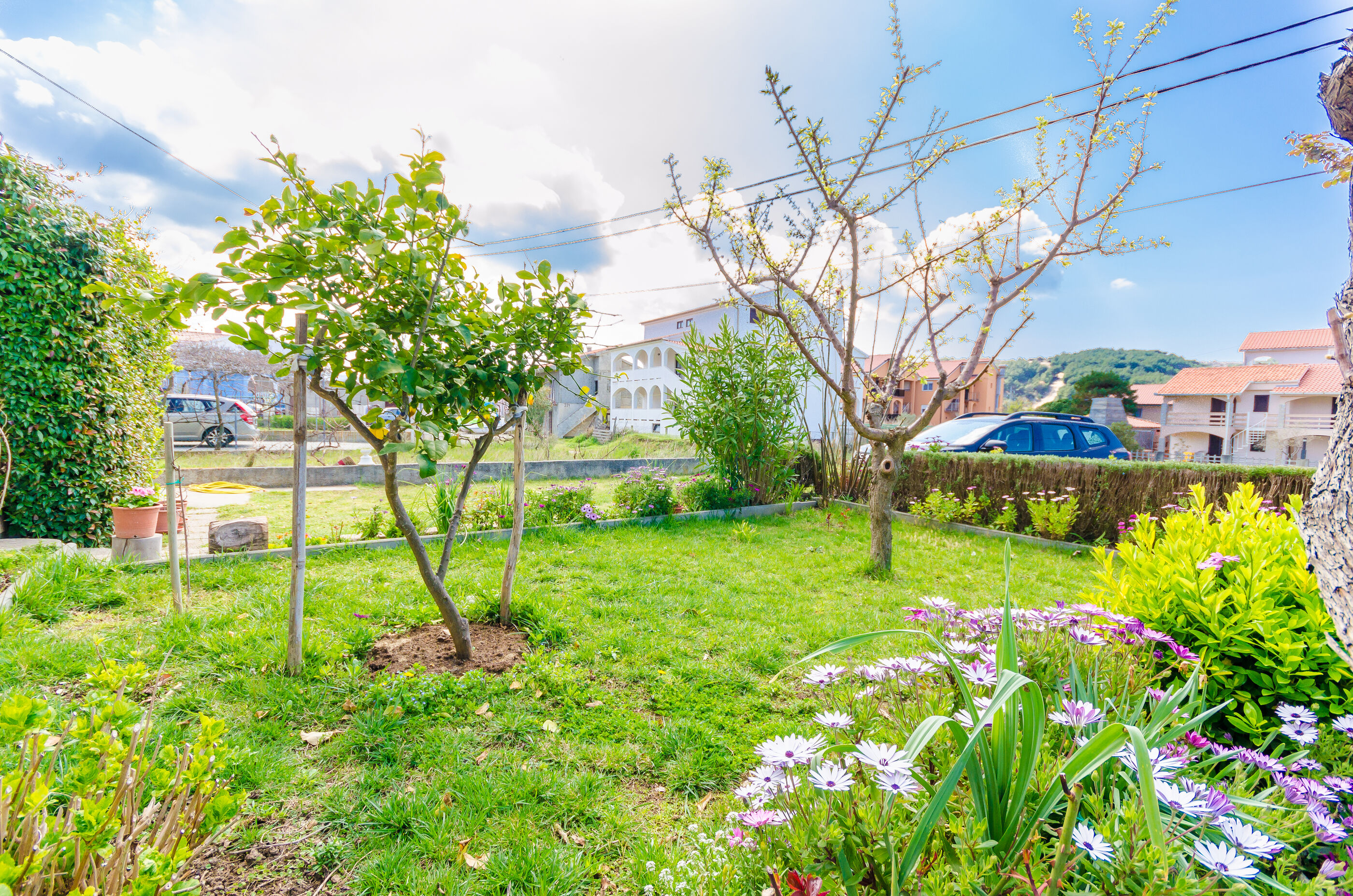 Photo of Apartments Mijatović