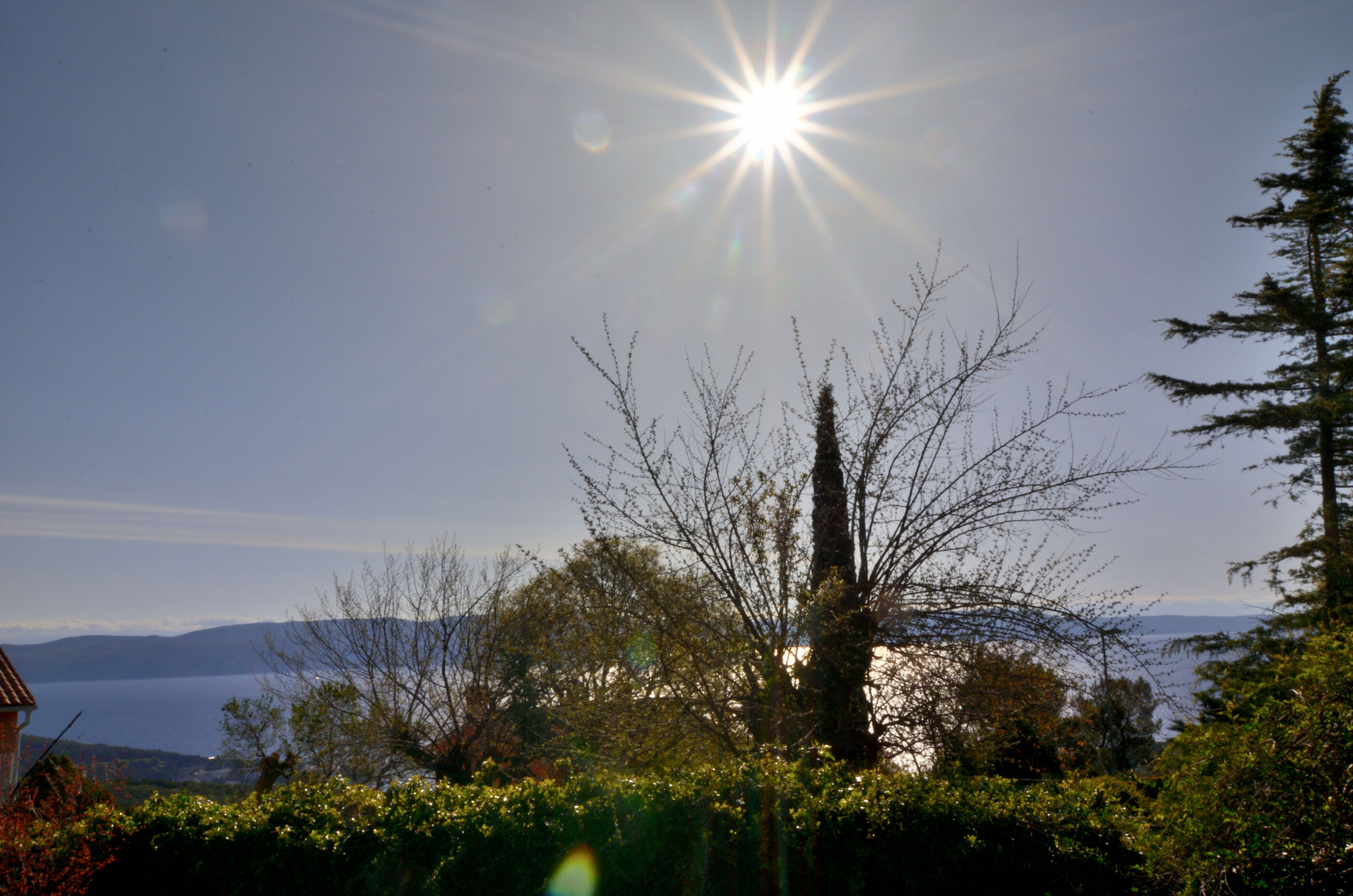 Photo of Apartment Maria