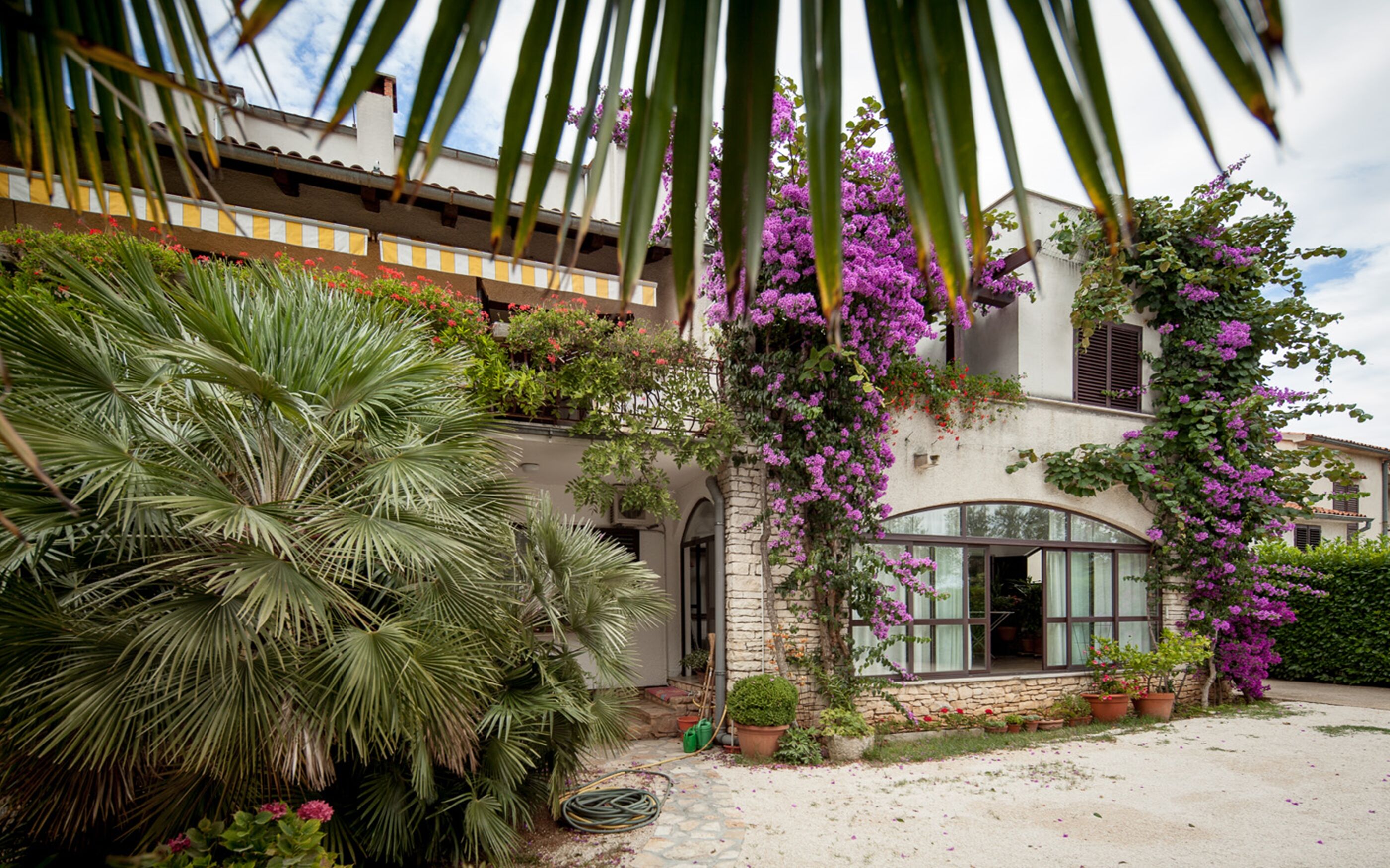 Photo of Apartments Tamara