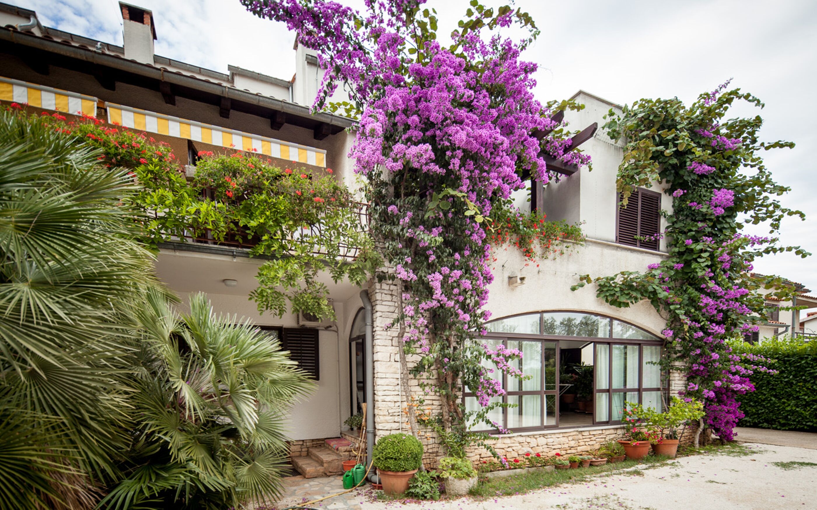 Photo of Apartments Tamara