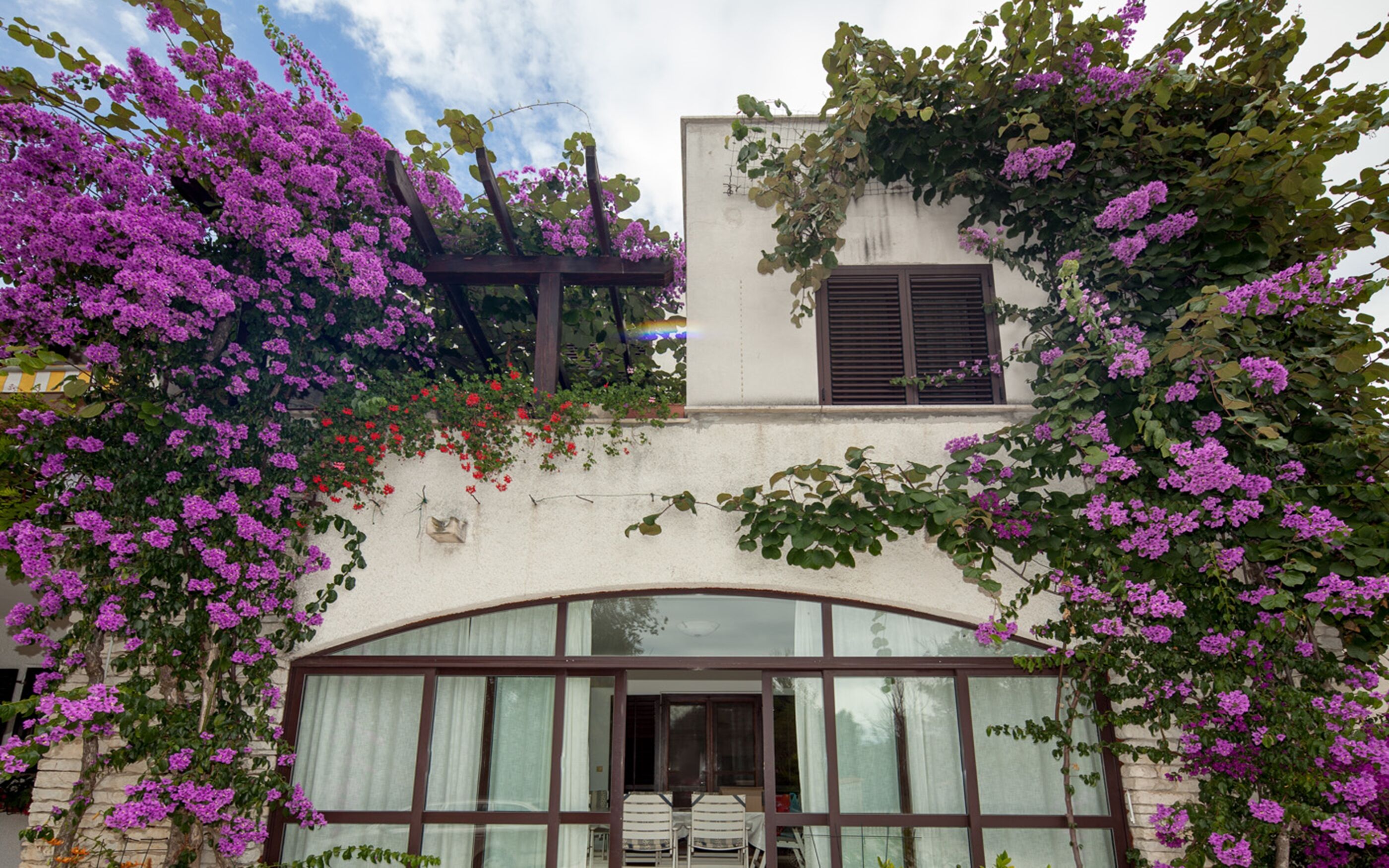 Photo of Apartments Natasa