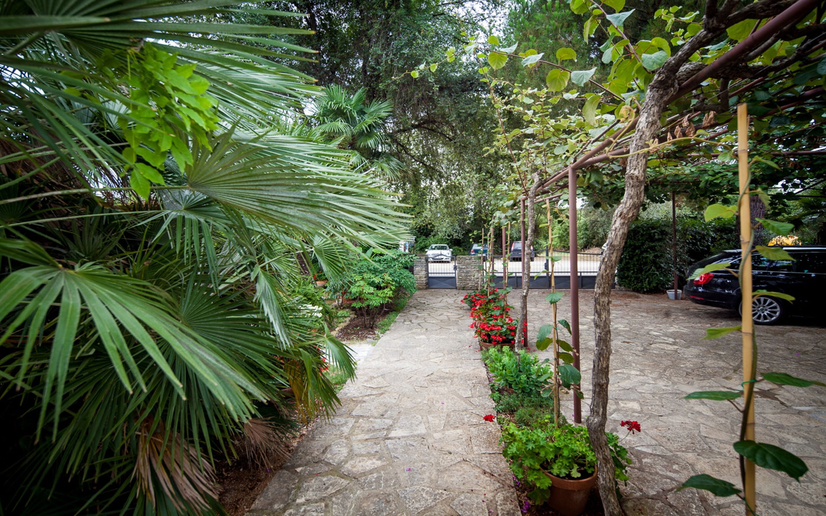 Photo of Apartments Natasa