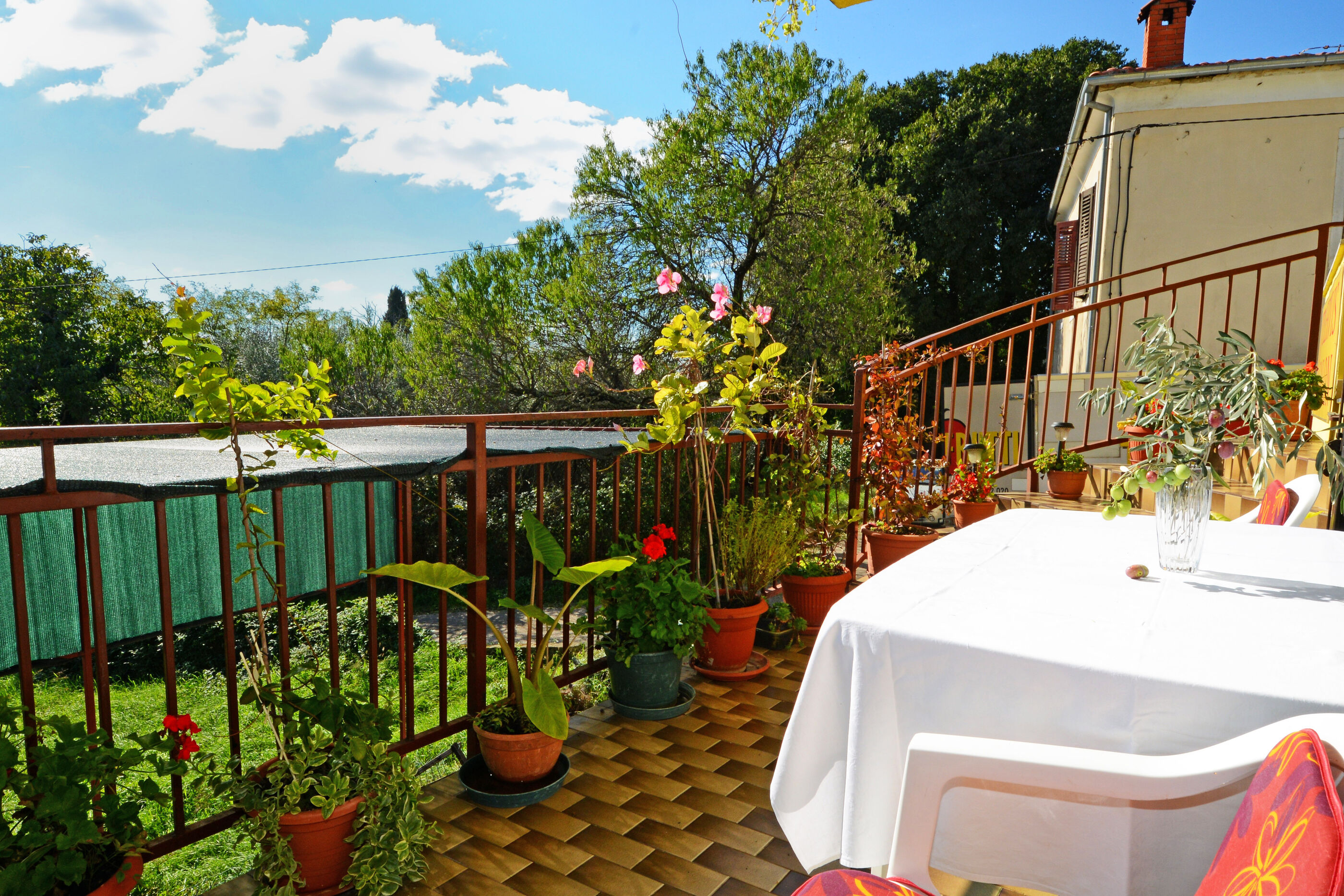 Rooms Tomc 63841-S1