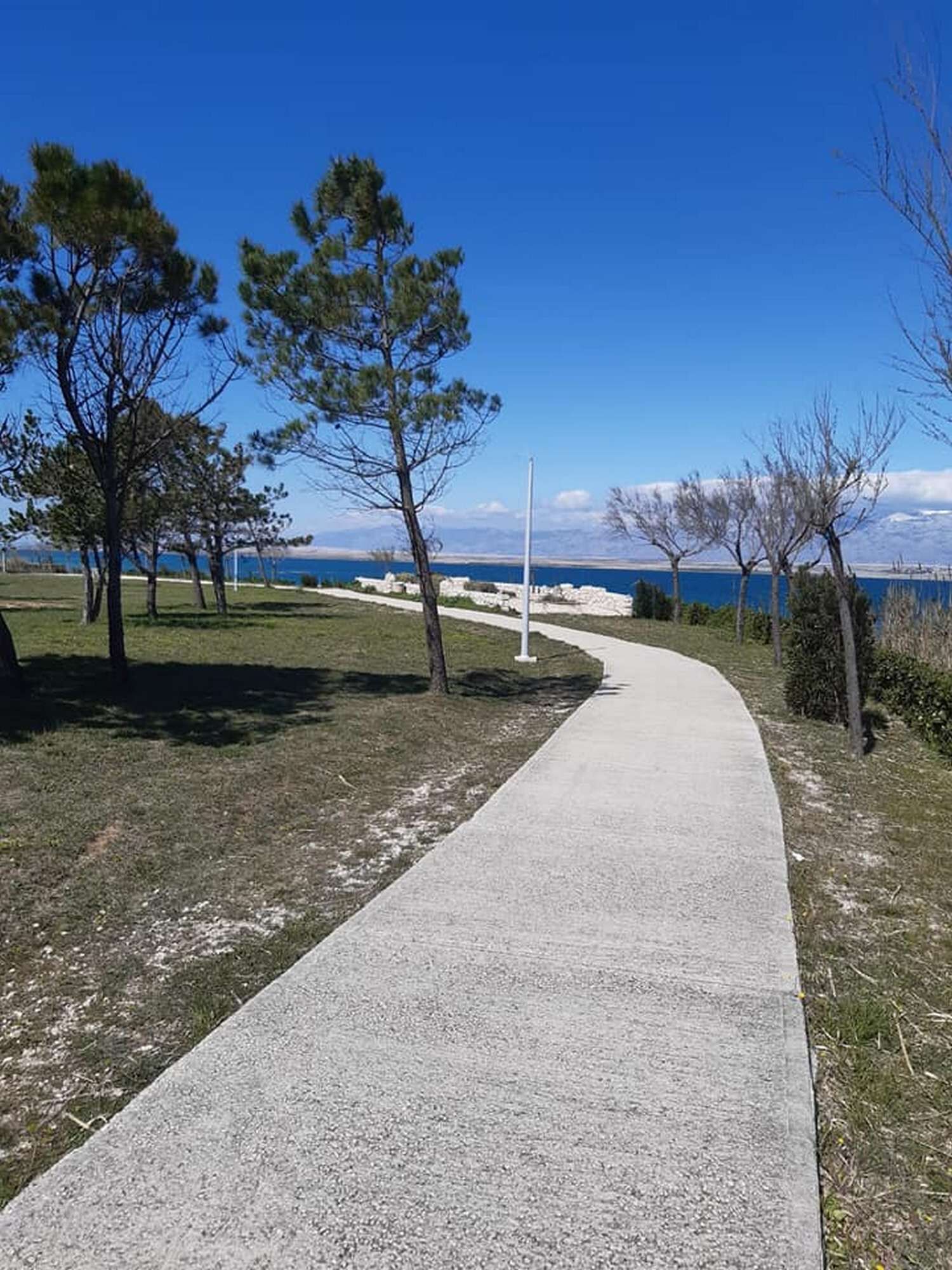 Photo of Apartments Lily