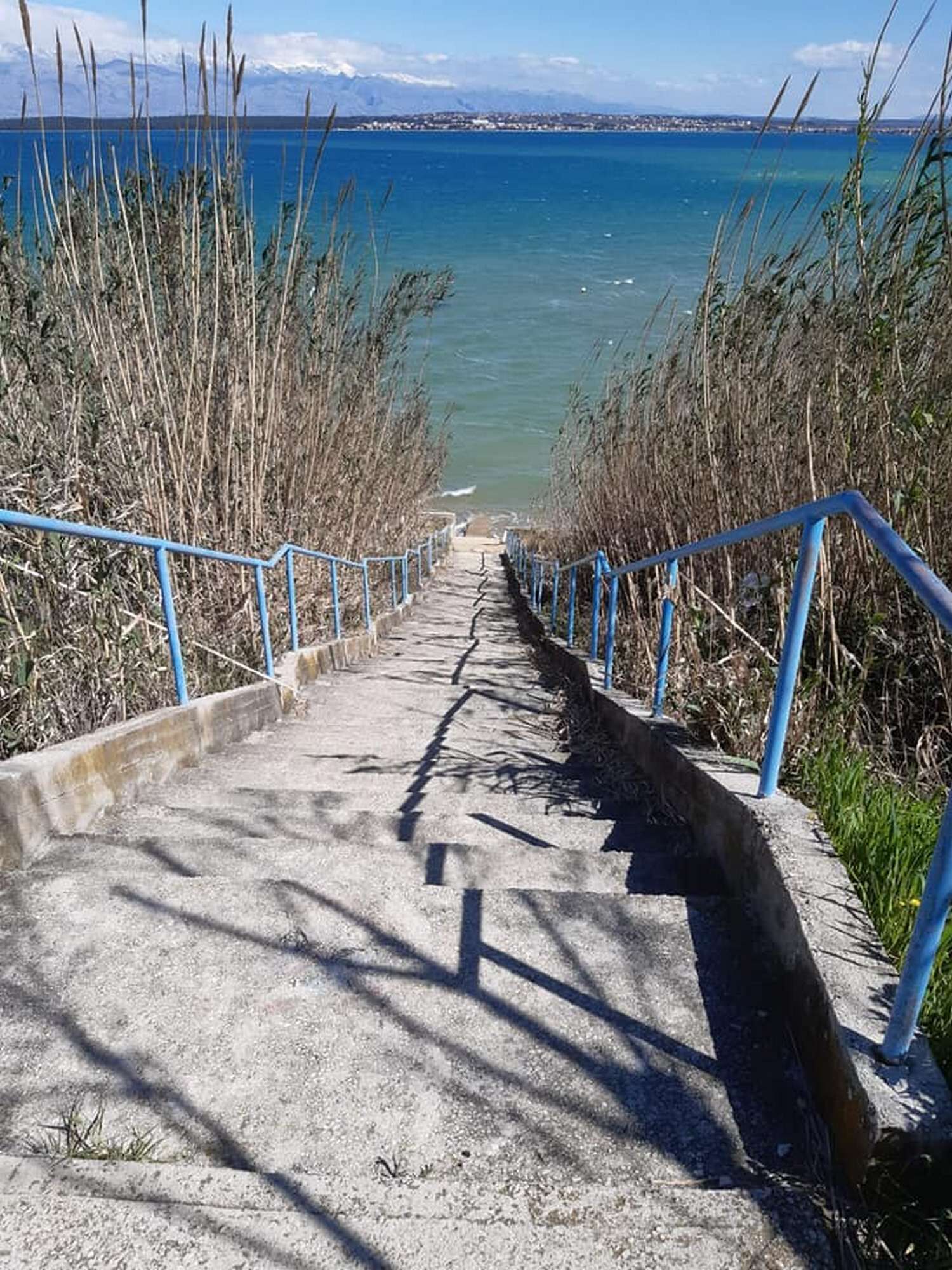 Photo of Apartments Lily