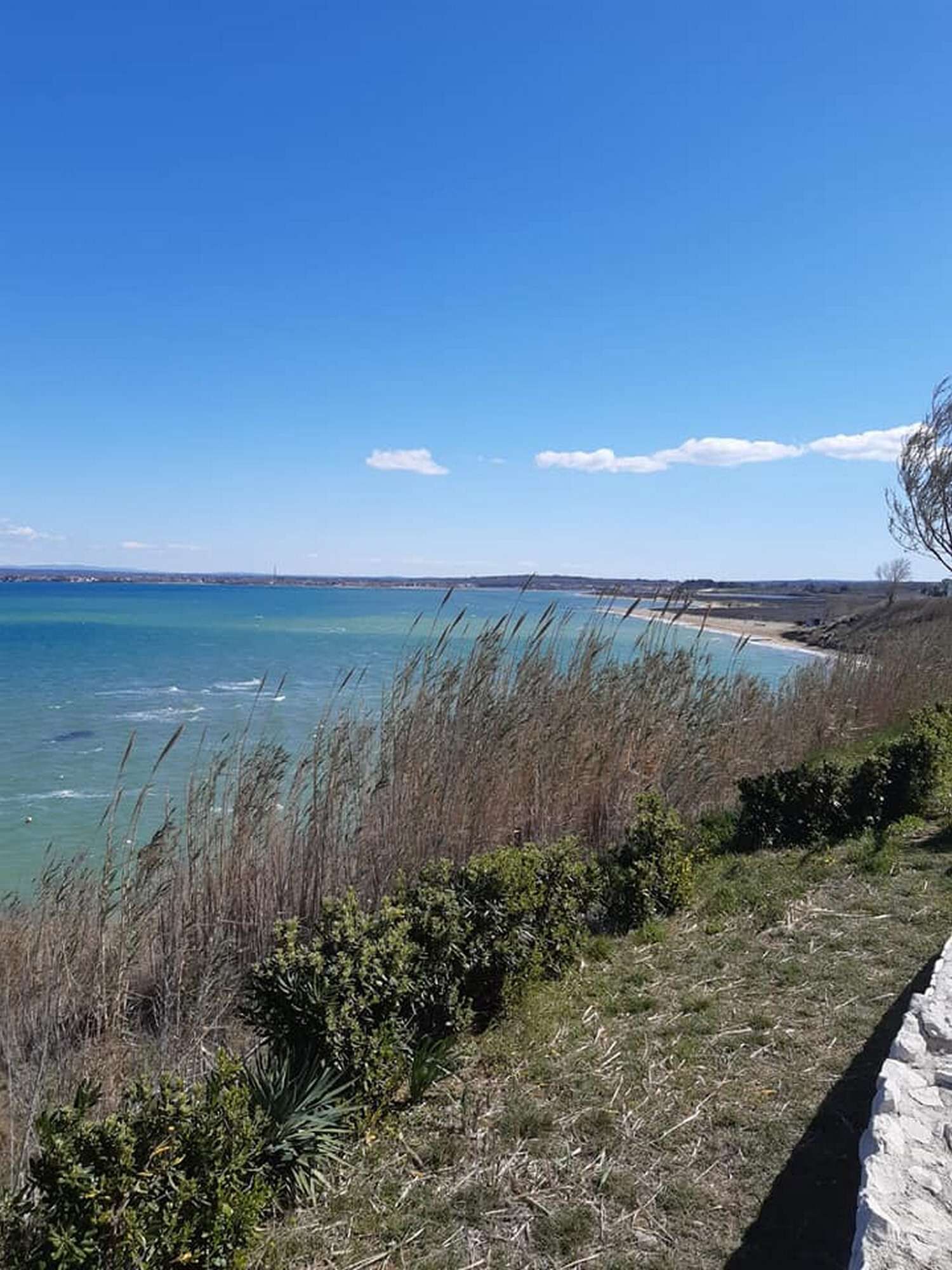 Photo of Apartments Lily